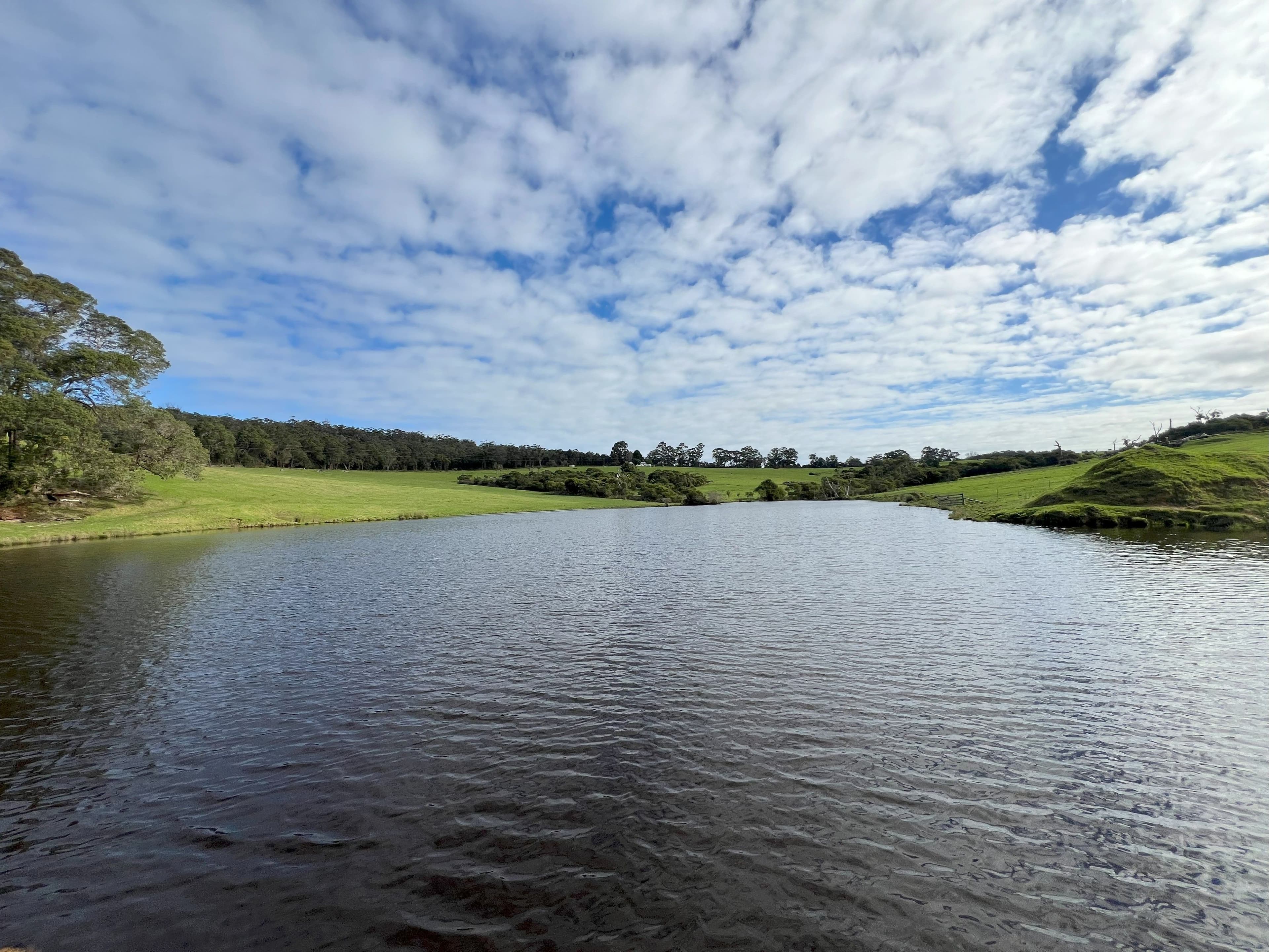 202 Dingo Flat Road, Tingledale - Image 1