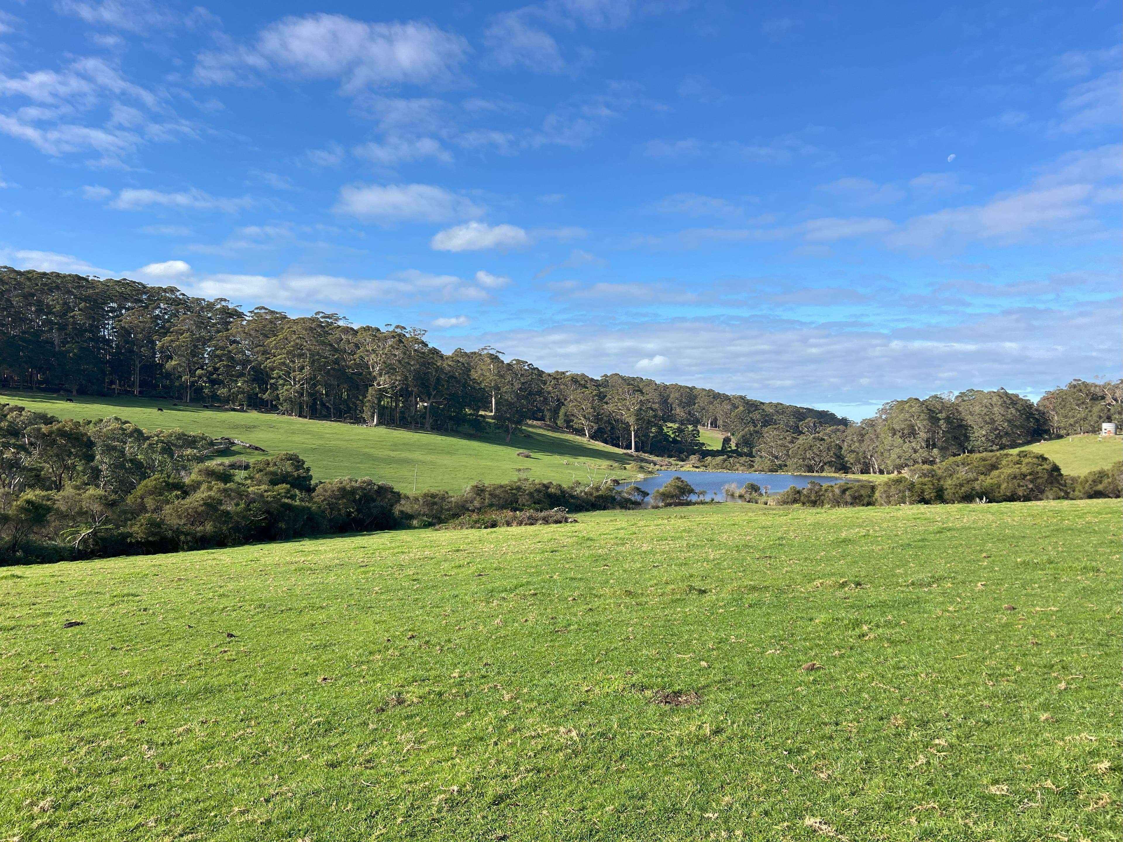 202 Dingo Flat Road, Tingledale - Thumbnail 2