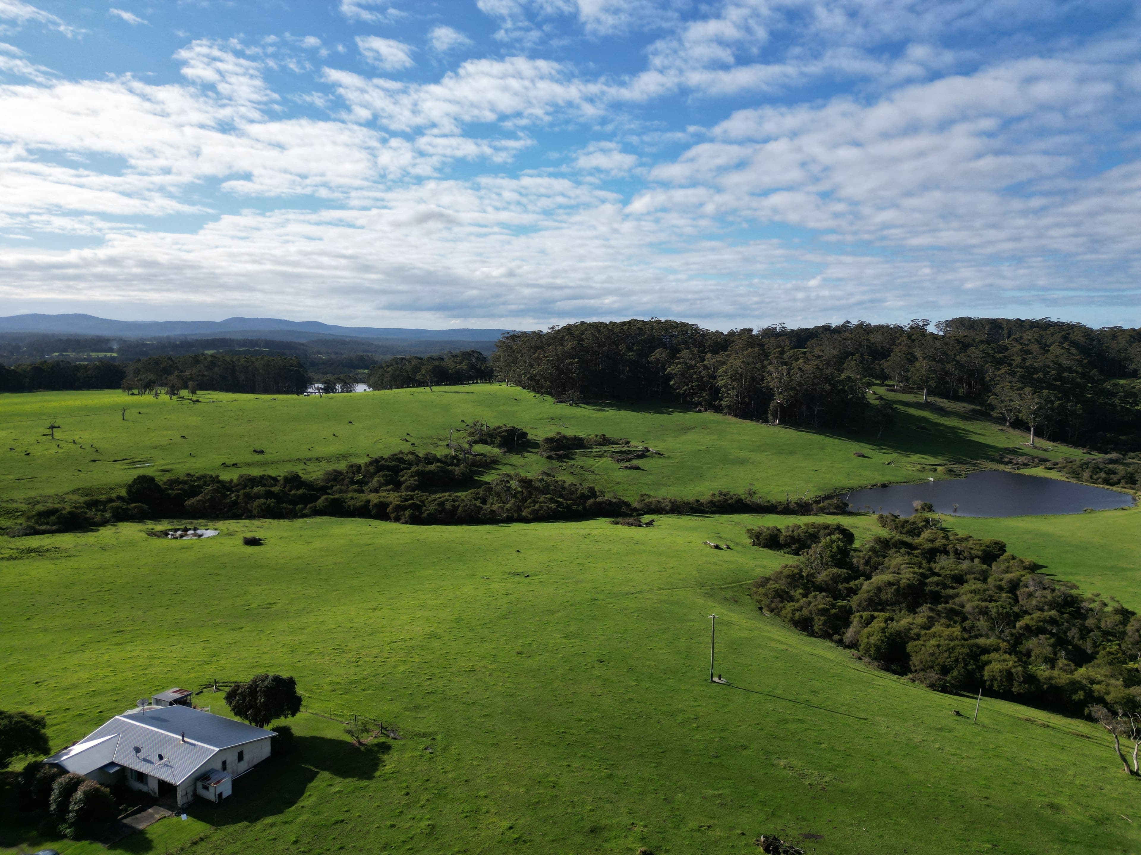 202 Dingo Flat Road, Tingledale - Thumbnail 3