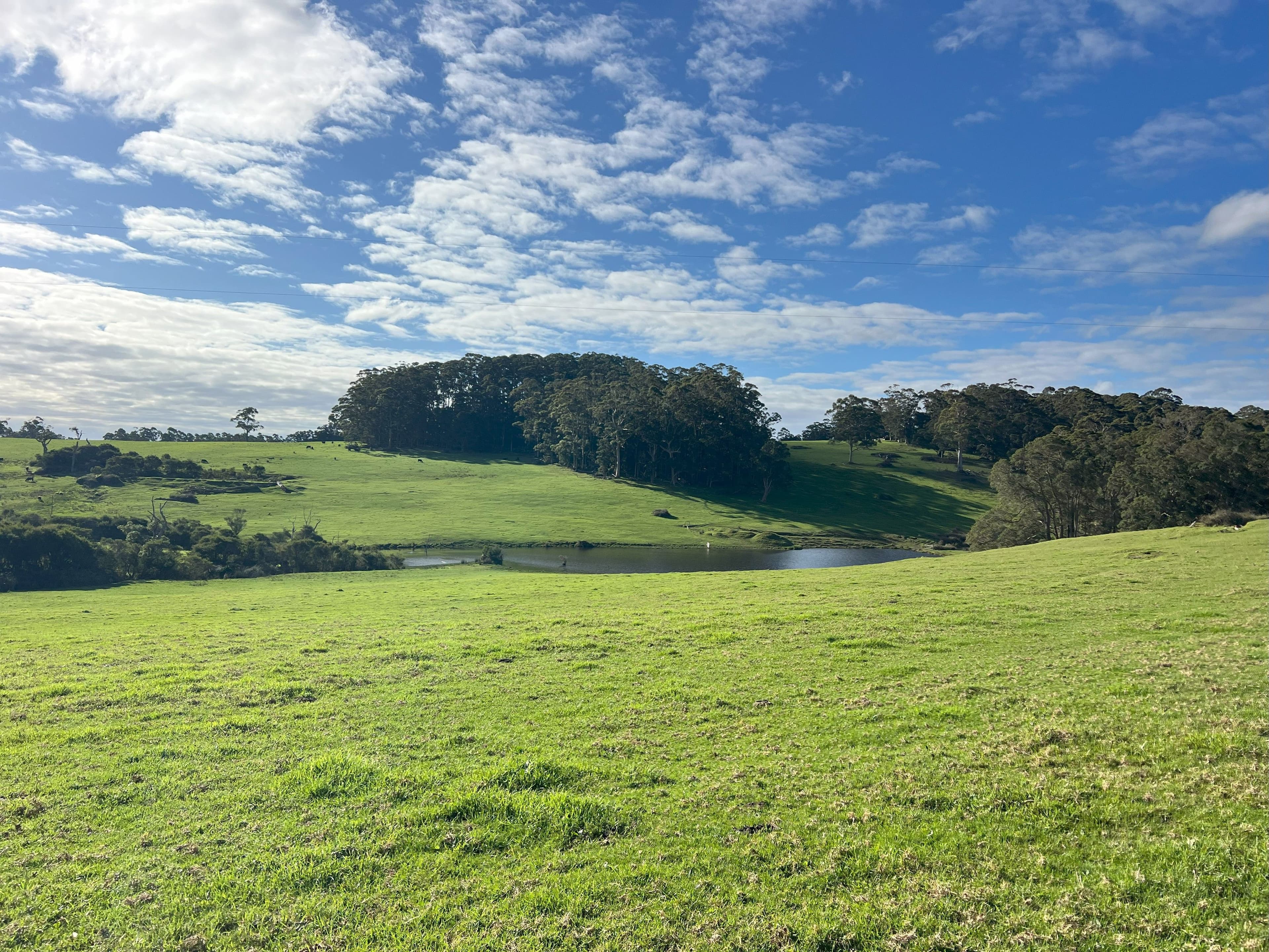 202 Dingo Flat Road, Tingledale - Thumbnail 4