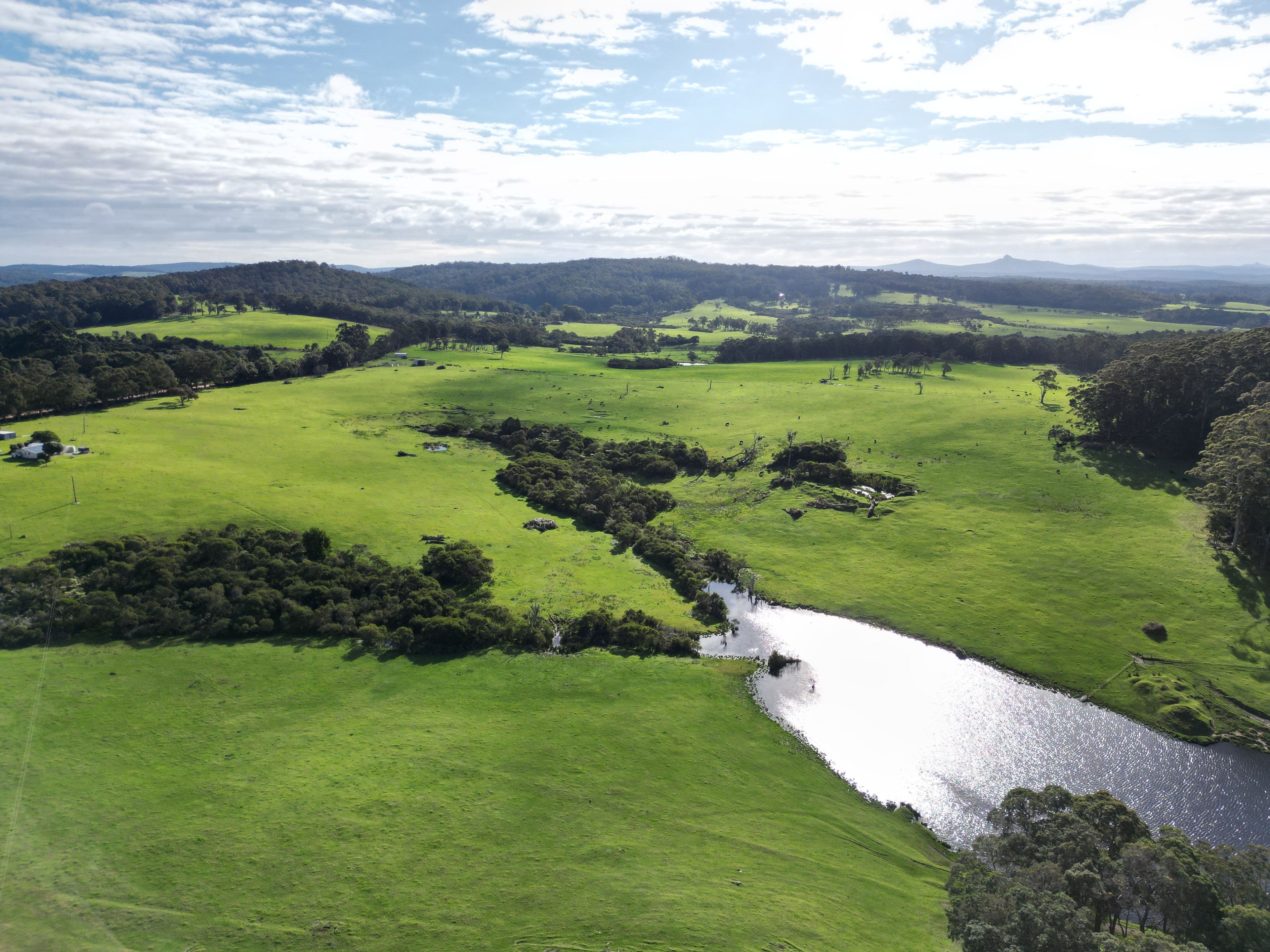 202 Dingo Flat Road, Tingledale - Thumbnail 5