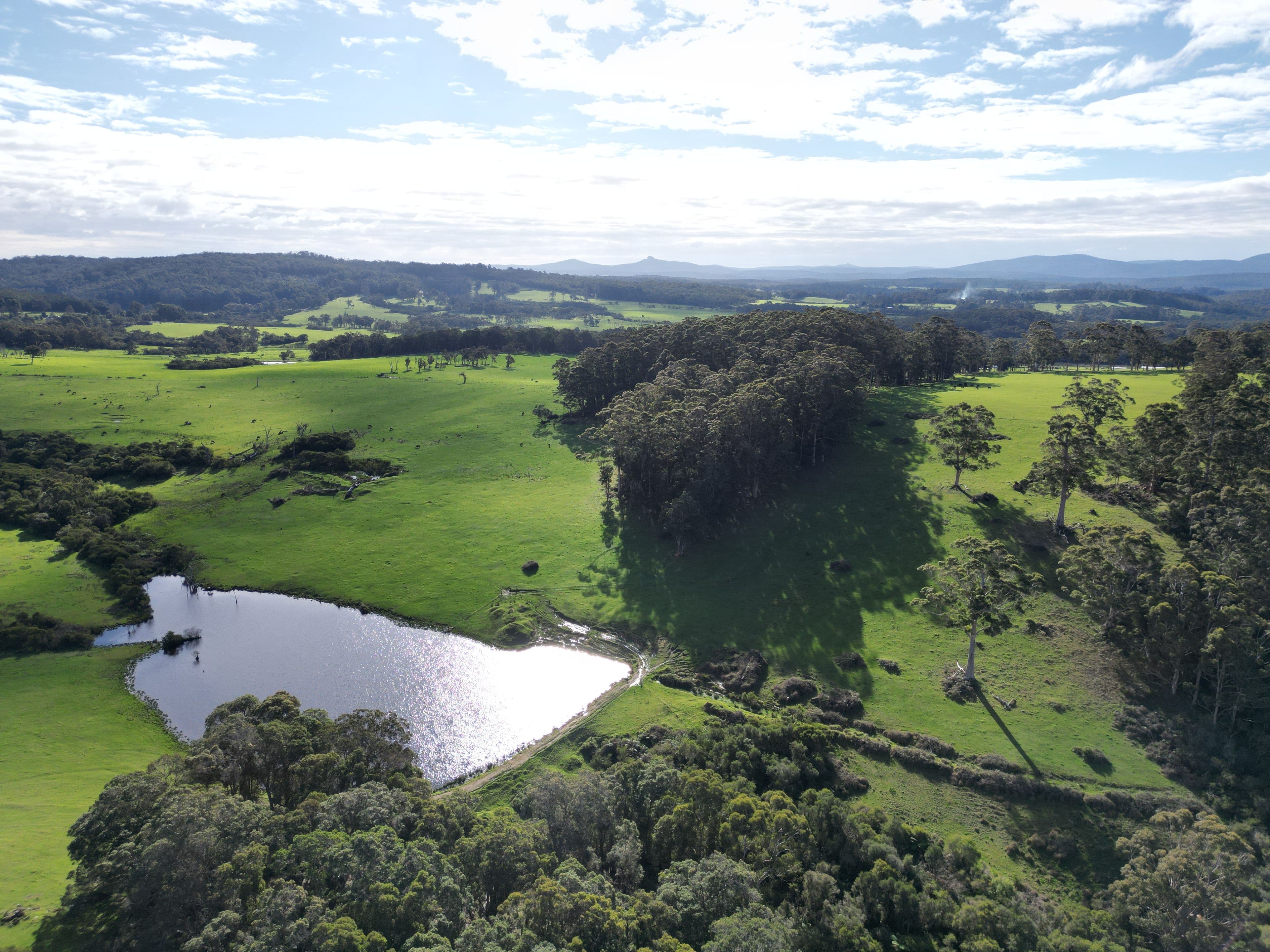 202 Dingo Flat Road, Tingledale - Thumbnail 6