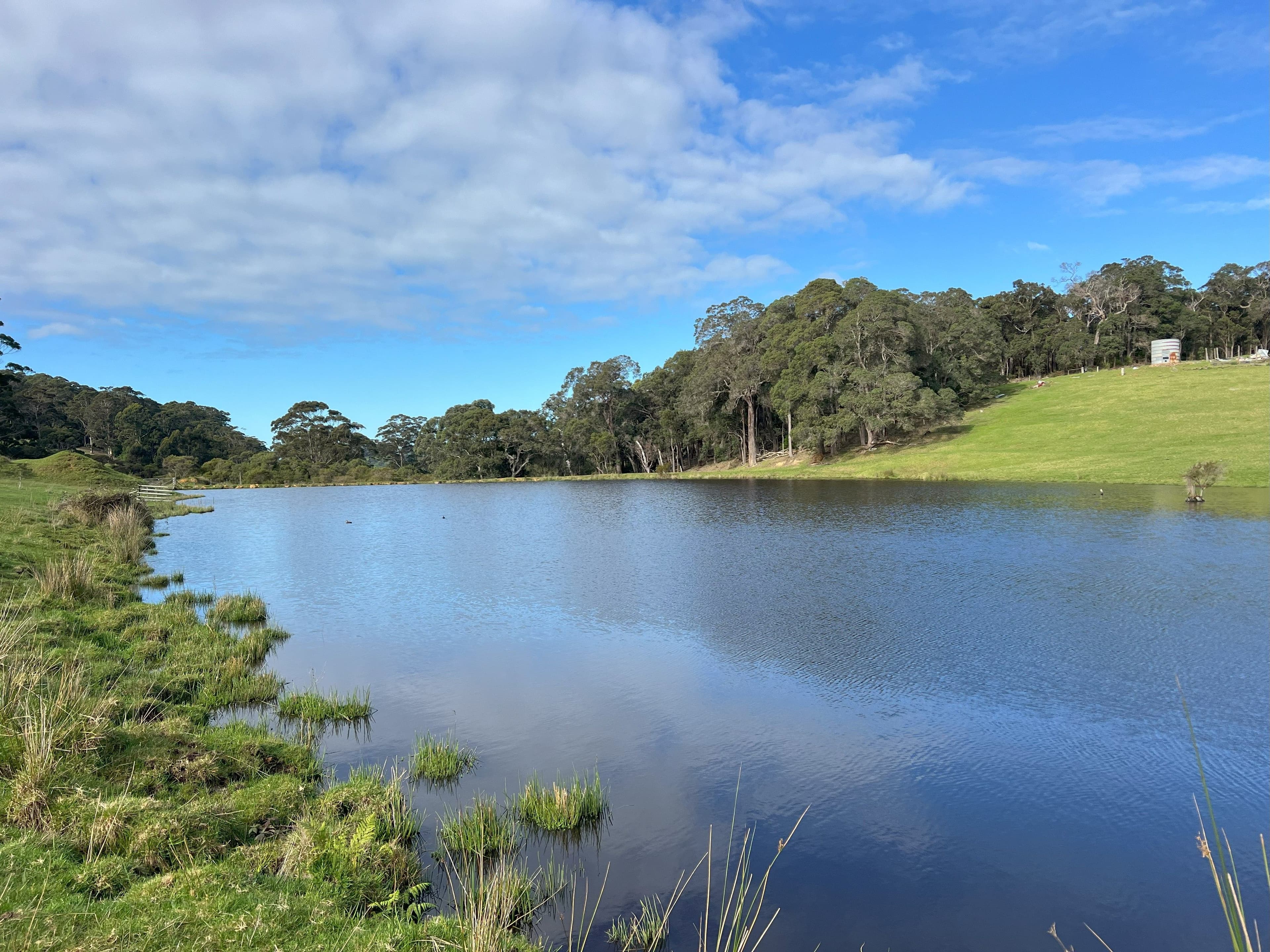 202 Dingo Flat Road, Tingledale - Thumbnail 7