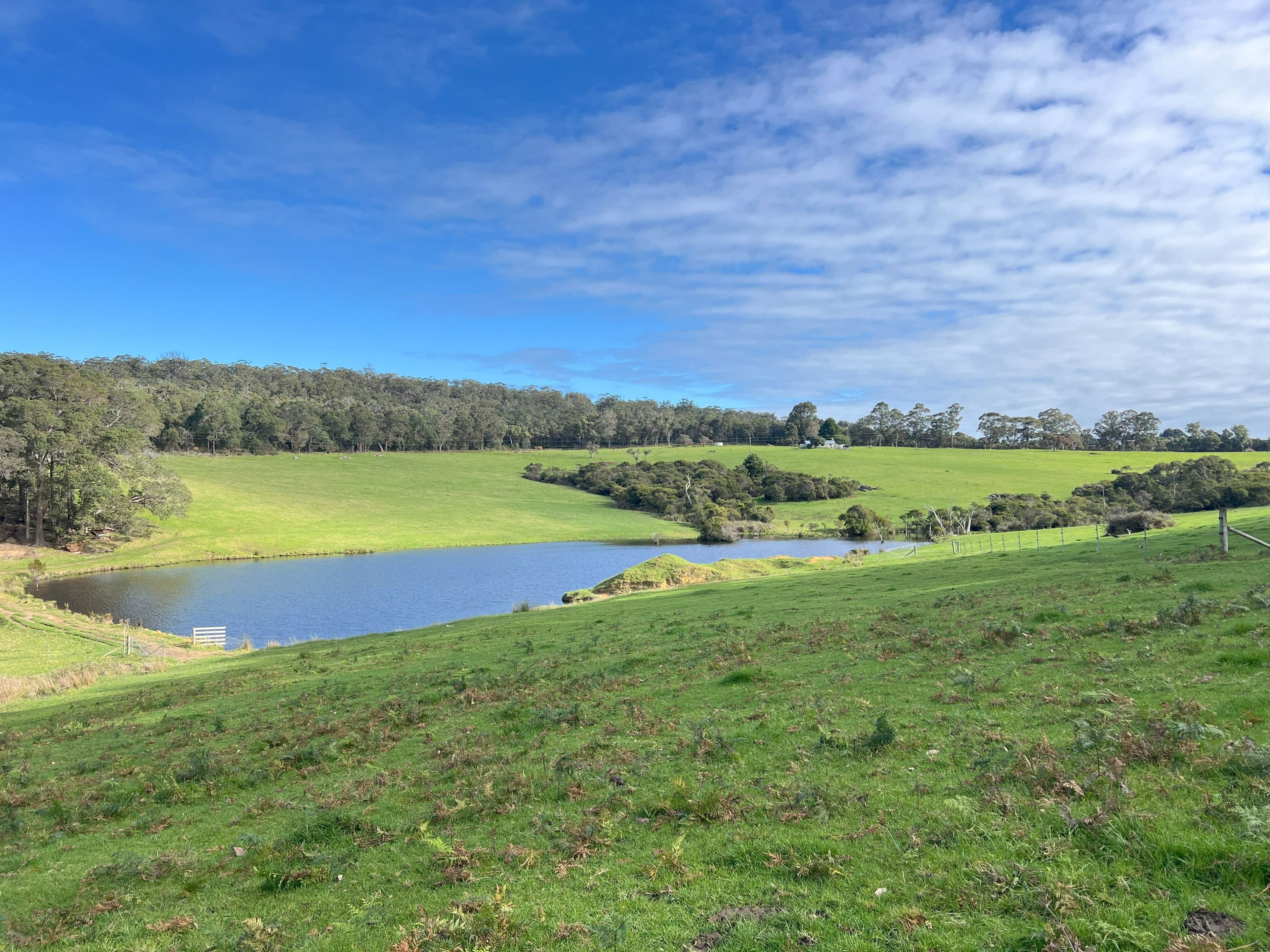 202 Dingo Flat Road, Tingledale - Thumbnail 8