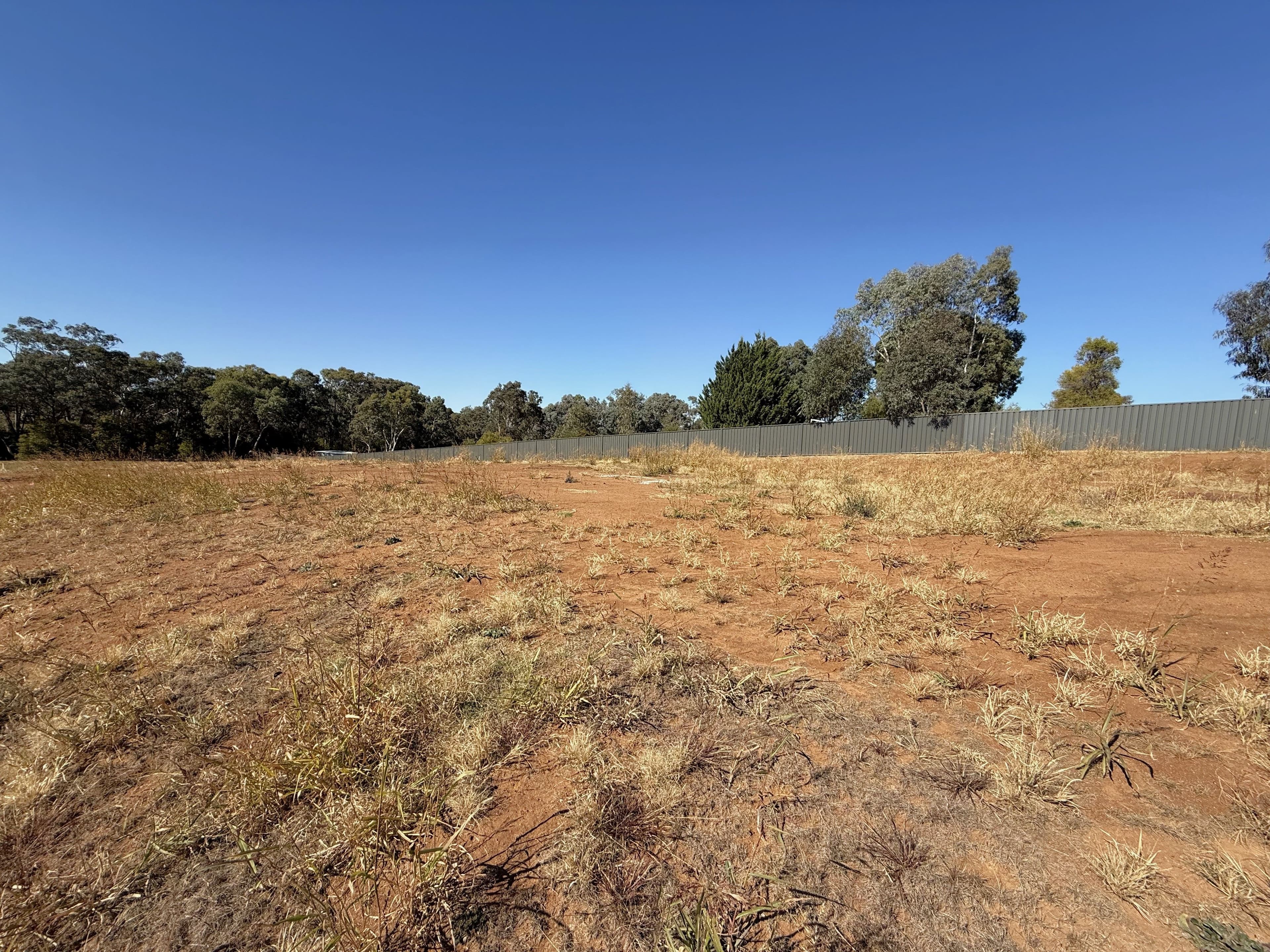 16 Armstrong Place , Young NSW 2594, Young - Thumbnail 3