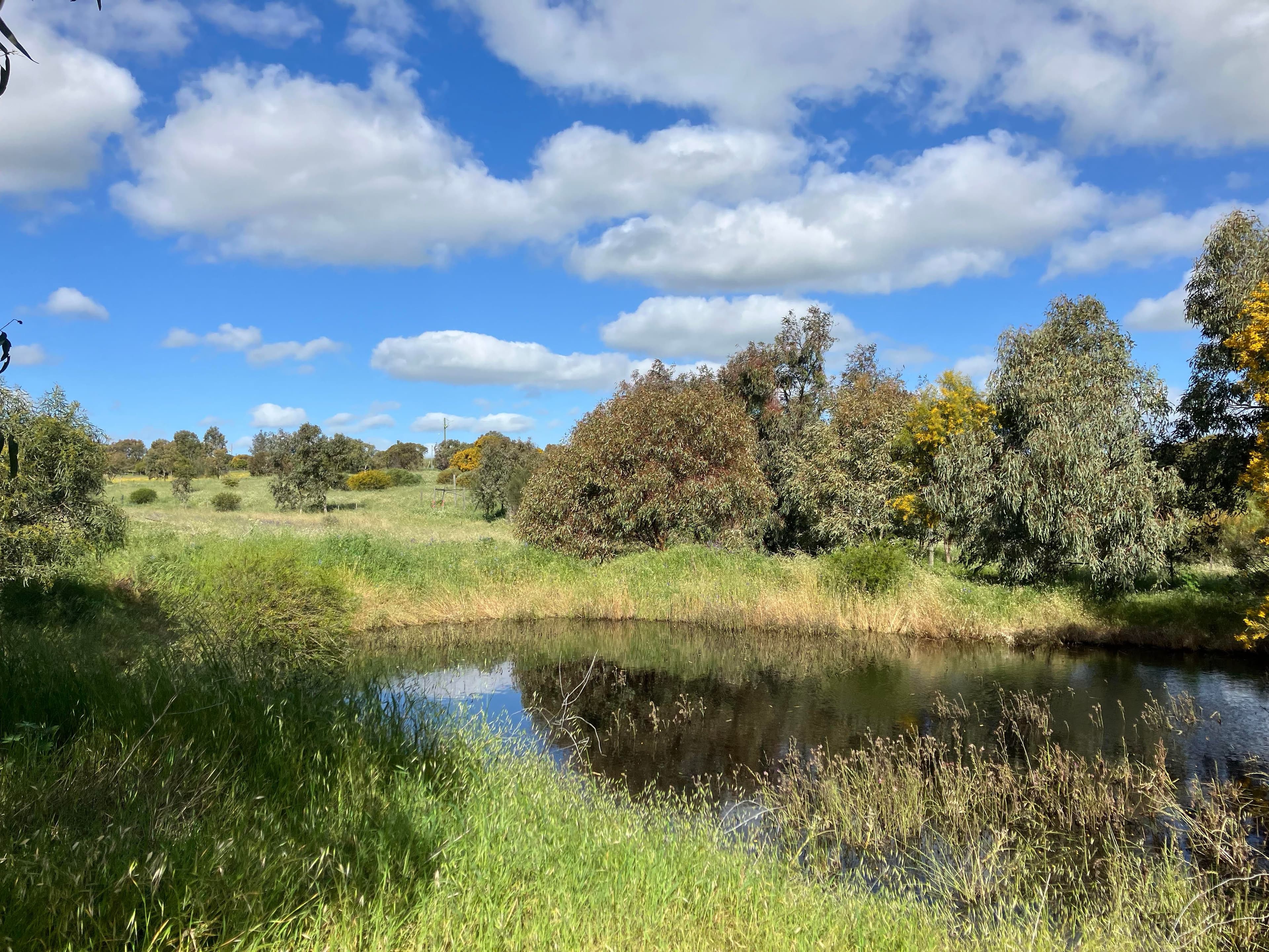 55 Stone Street , Northampton WA 6535, Northampton - Thumbnail 5
