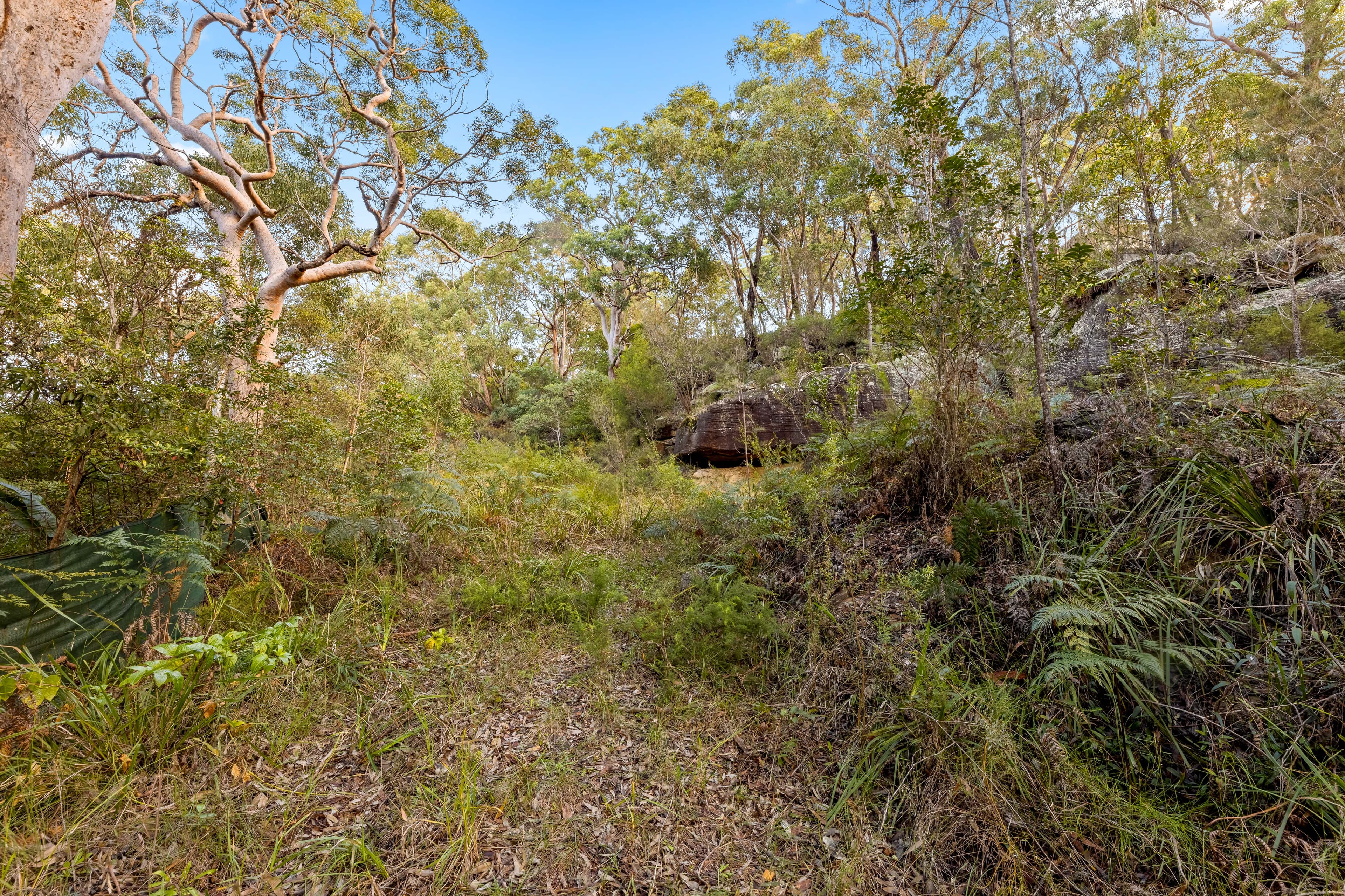 59 Old Ferry Road , Illawong NSW 2234, Illawong - Thumbnail 5