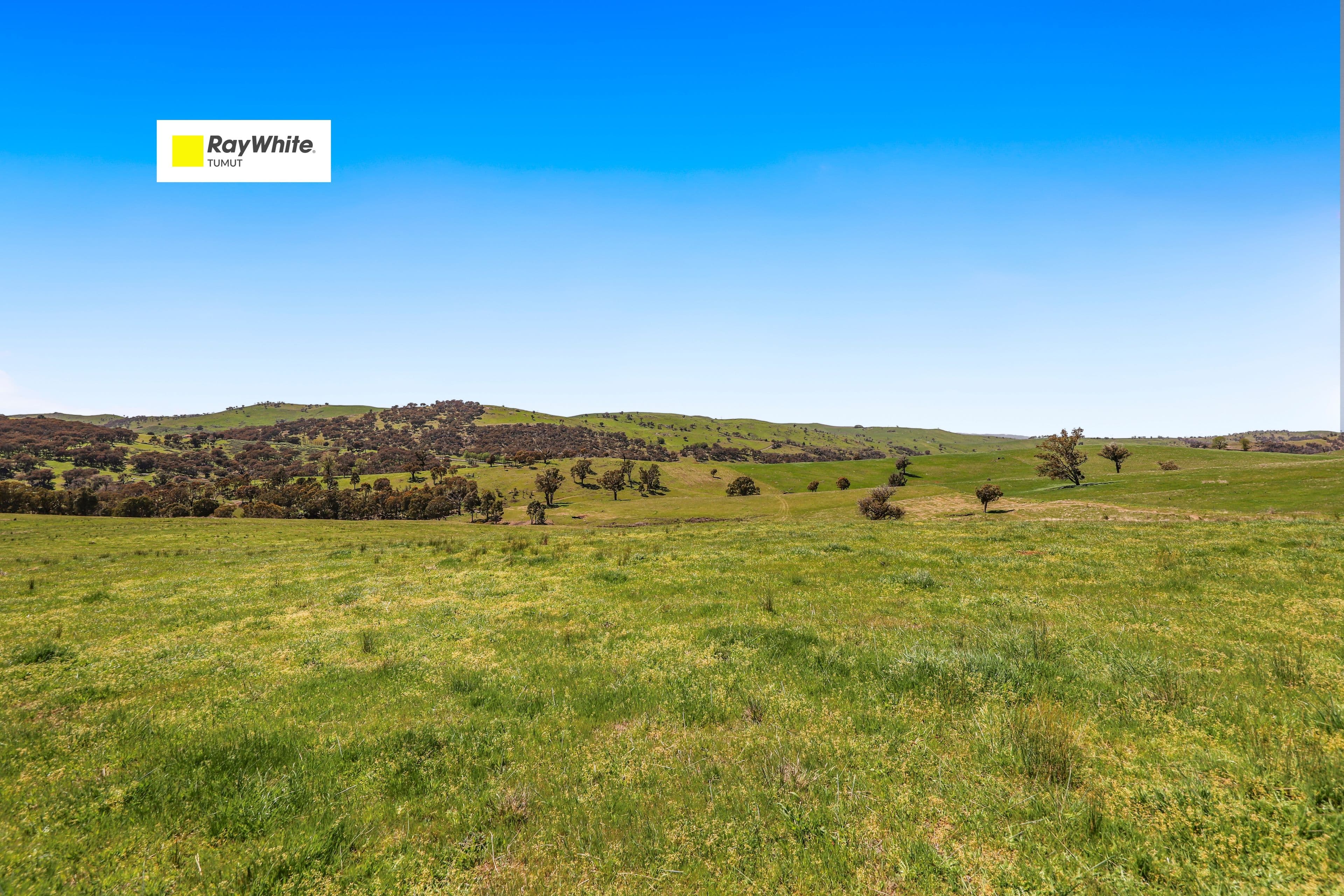 1260 Wondalga Road , Adelong NSW 2729, Adelong - Image 1