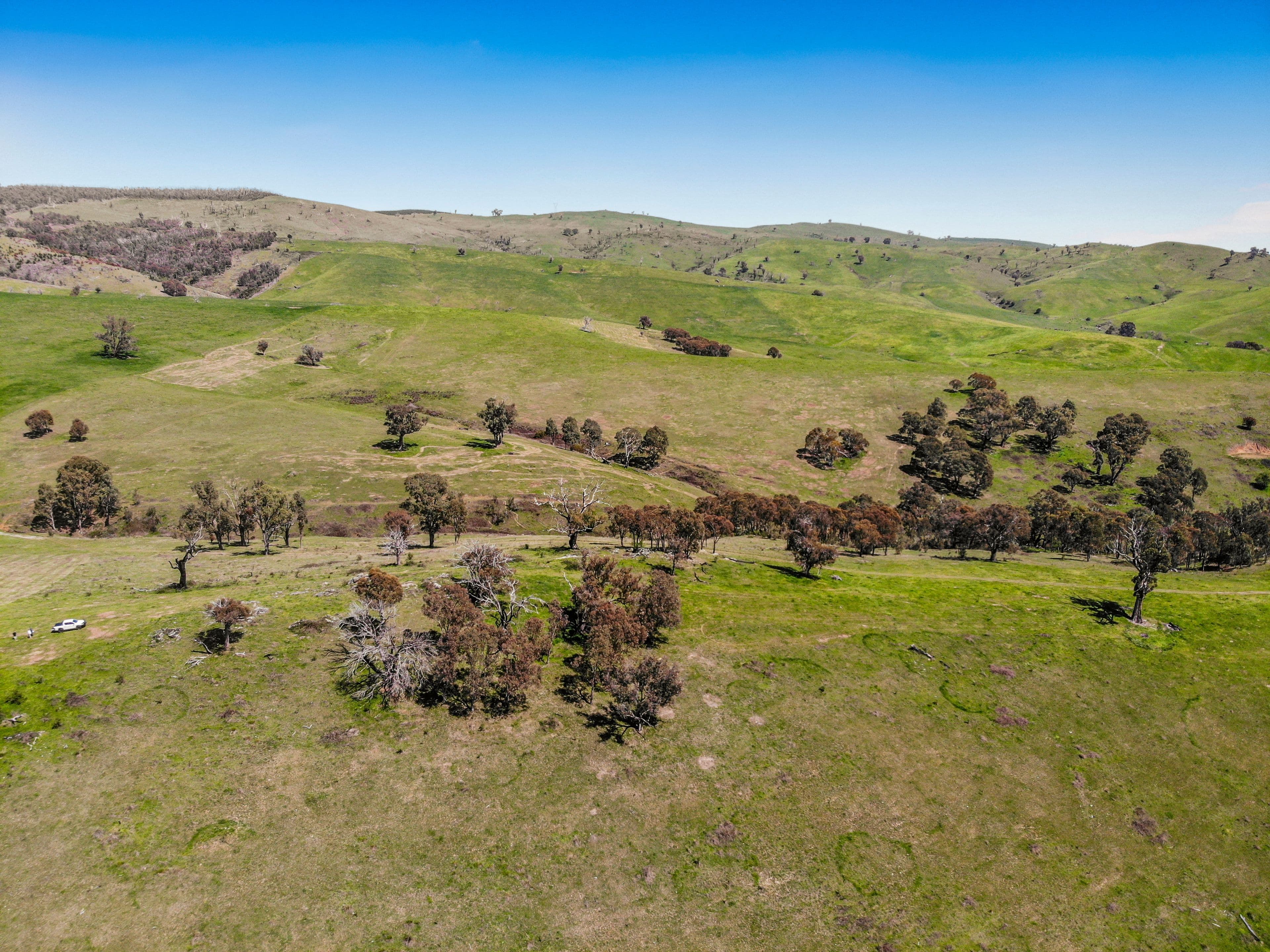 1260 Wondalga Road , Adelong NSW 2729, Adelong - Thumbnail 2