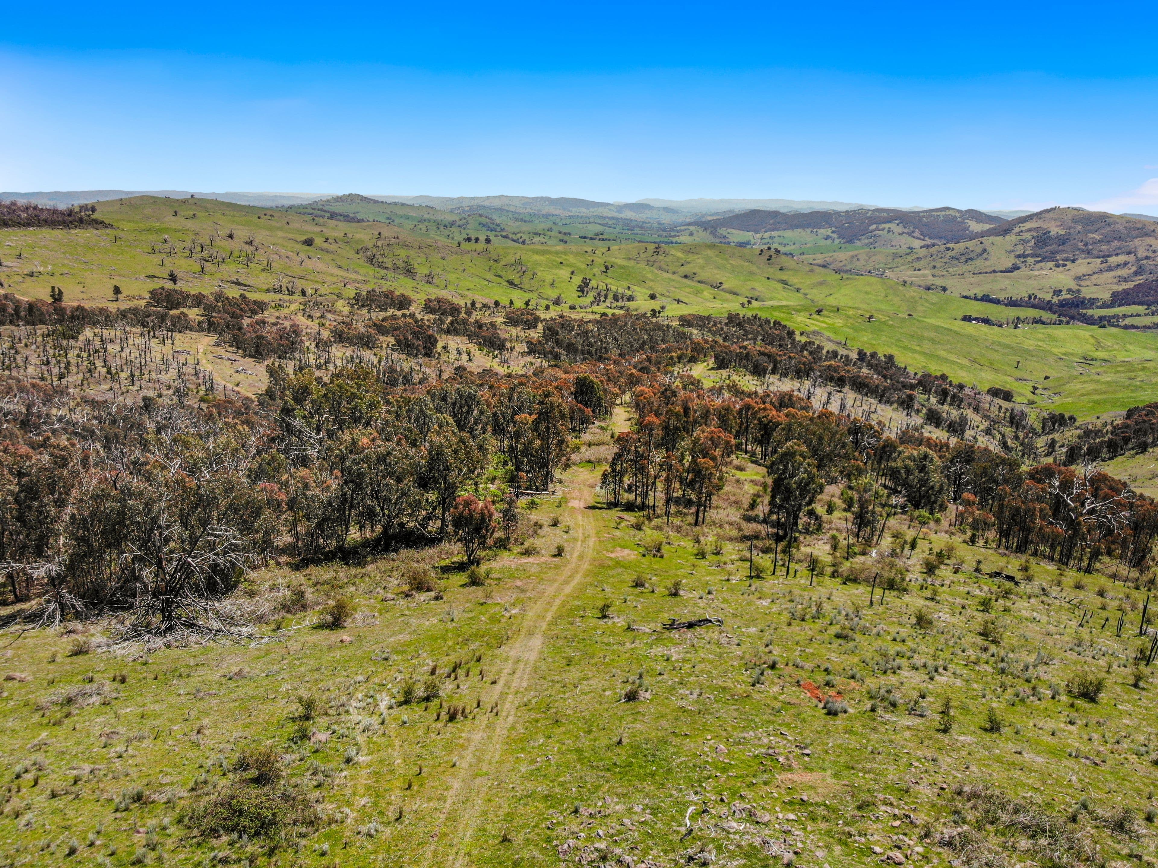 1260 Wondalga Road , Adelong NSW 2729, Adelong - Thumbnail 3