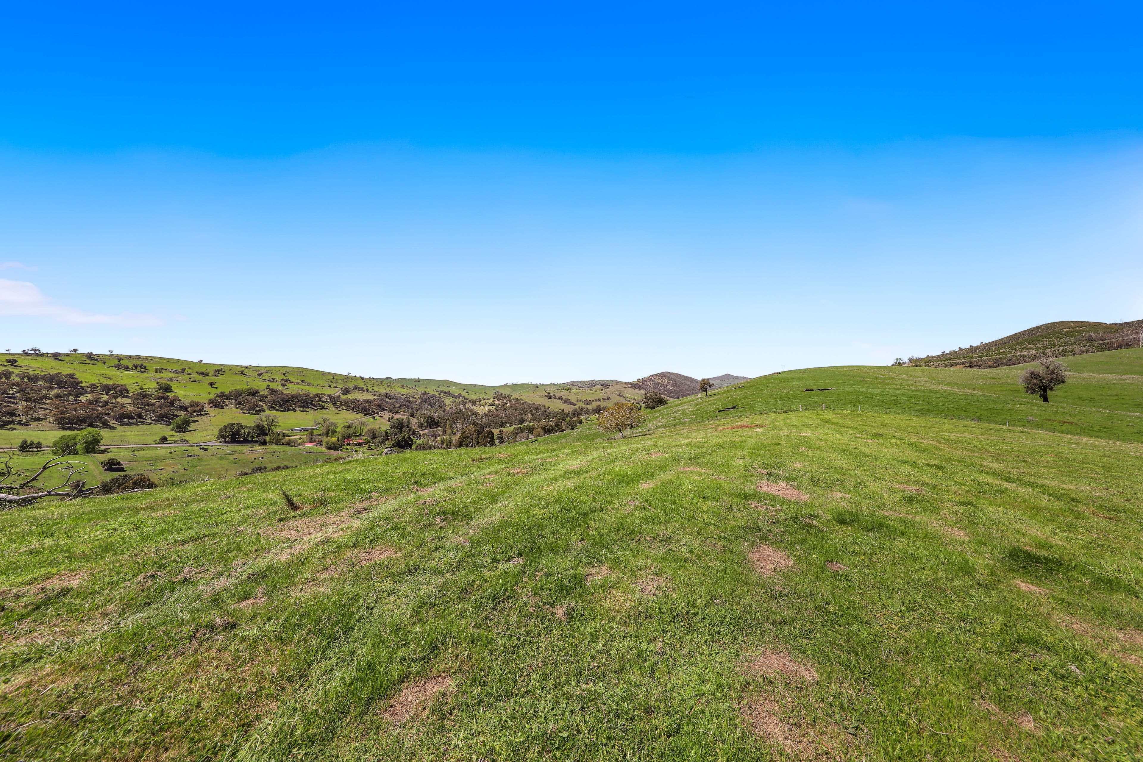 1260 Wondalga Road , Adelong NSW 2729, Adelong - Thumbnail 4