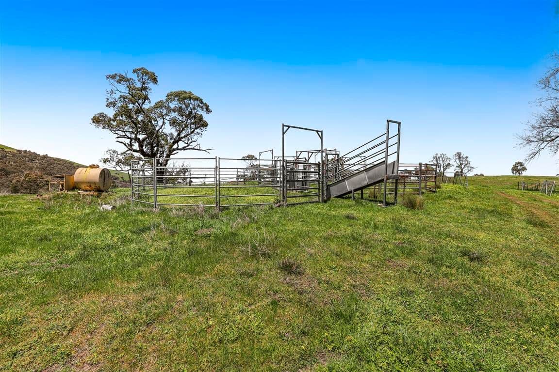1260 Wondalga Road , Adelong NSW 2729, Adelong - Thumbnail 7