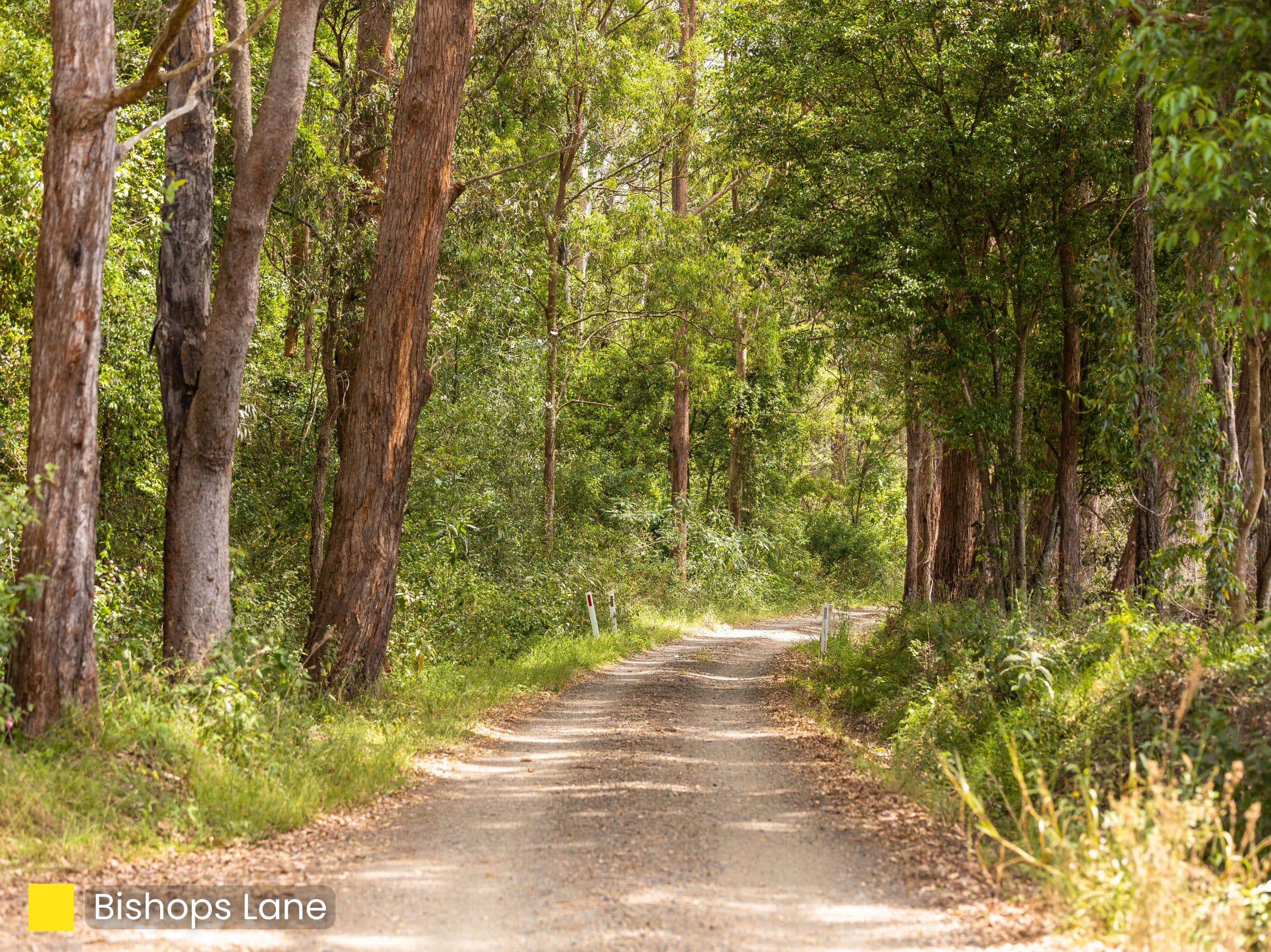 22 Bishops Lane , Mondrook NSW 2430, Mondrook - Thumbnail 6