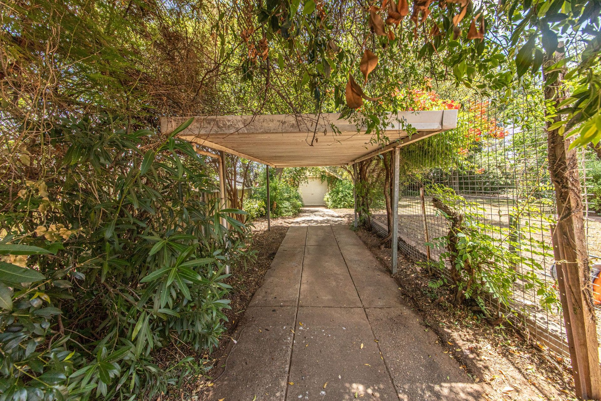 52 Tamworth Street , Dubbo NSW 2830, Dubbo - Thumbnail 5