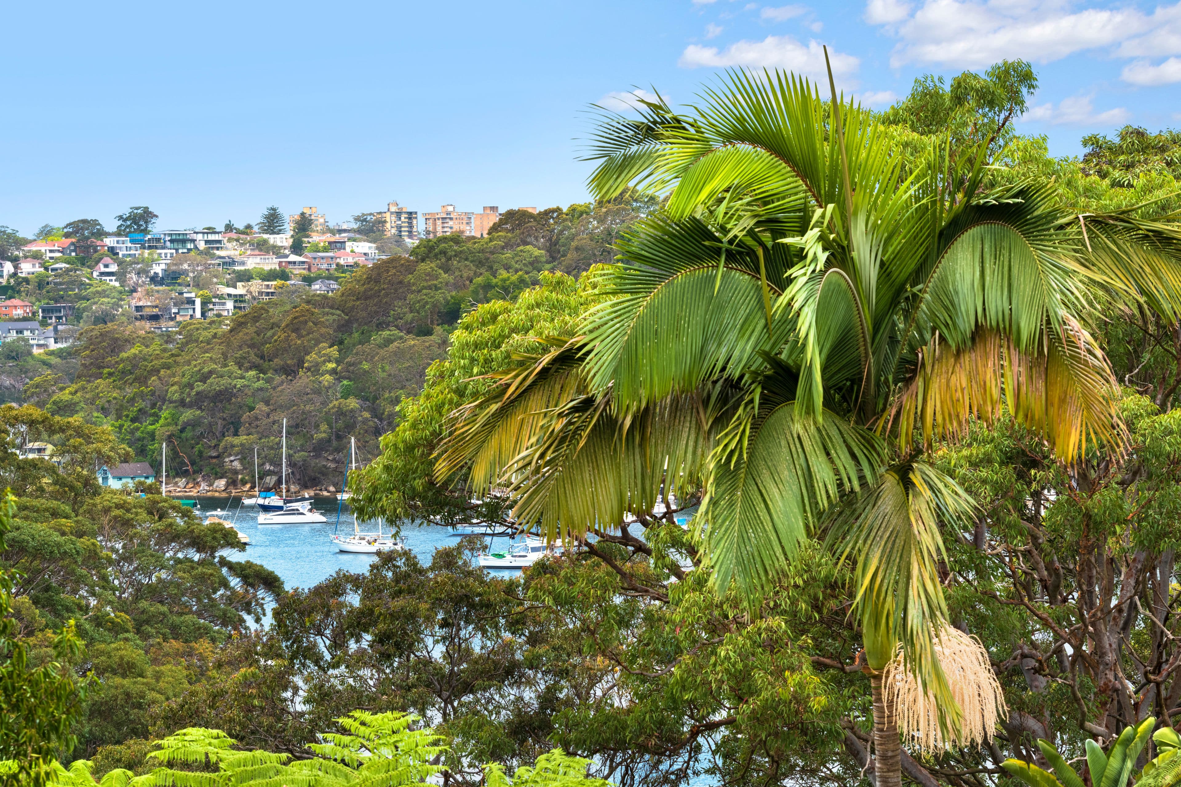 9 The Scarp , Castlecrag NSW 2068, Castlecrag - Image 1