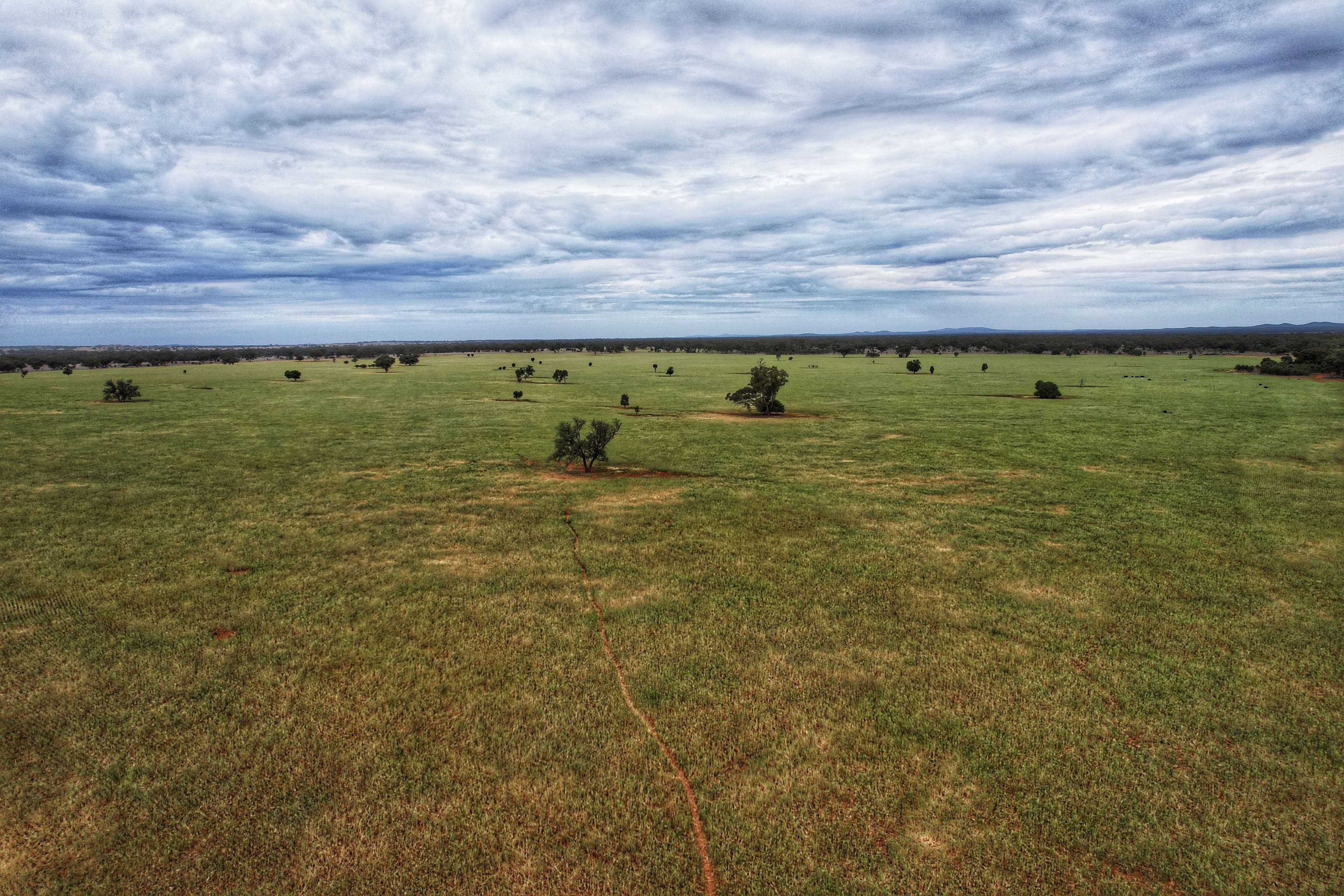 'Napunyah' 1224 Eremeran Road , Condobolin NSW 2877, Condobolin - Thumbnail 2