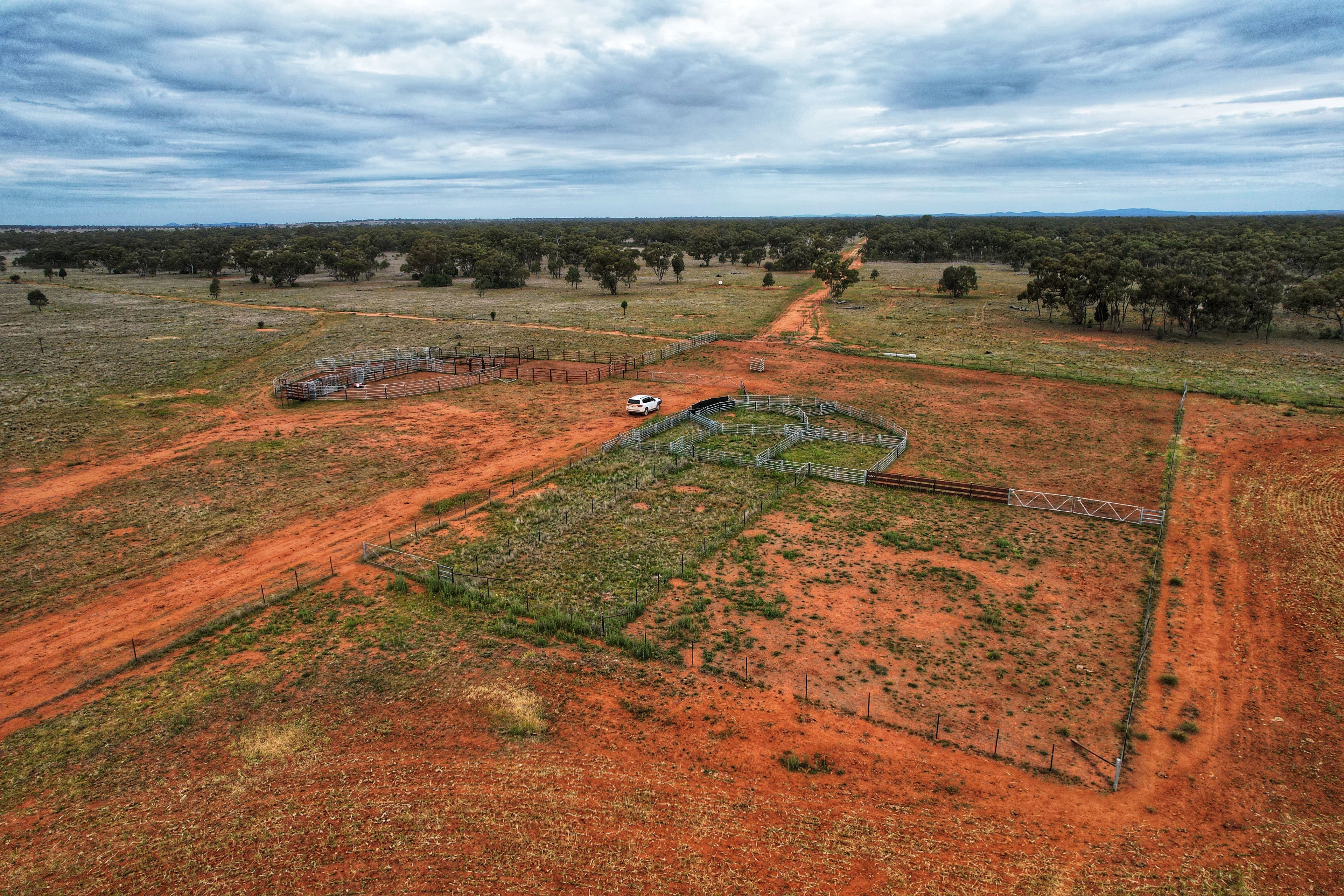 'Napunyah' 1224 Eremeran Road , Condobolin NSW 2877, Condobolin - Thumbnail 3