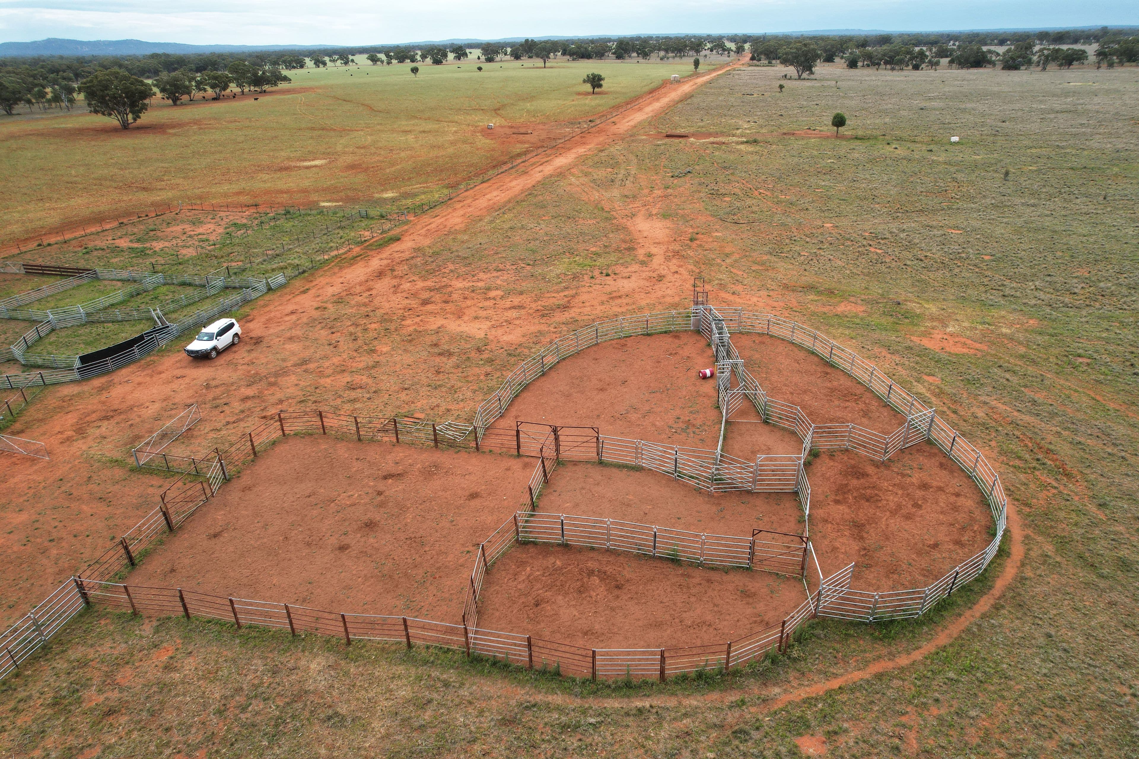 'Napunyah' 1224 Eremeran Road , Condobolin NSW 2877, Condobolin - Thumbnail 5