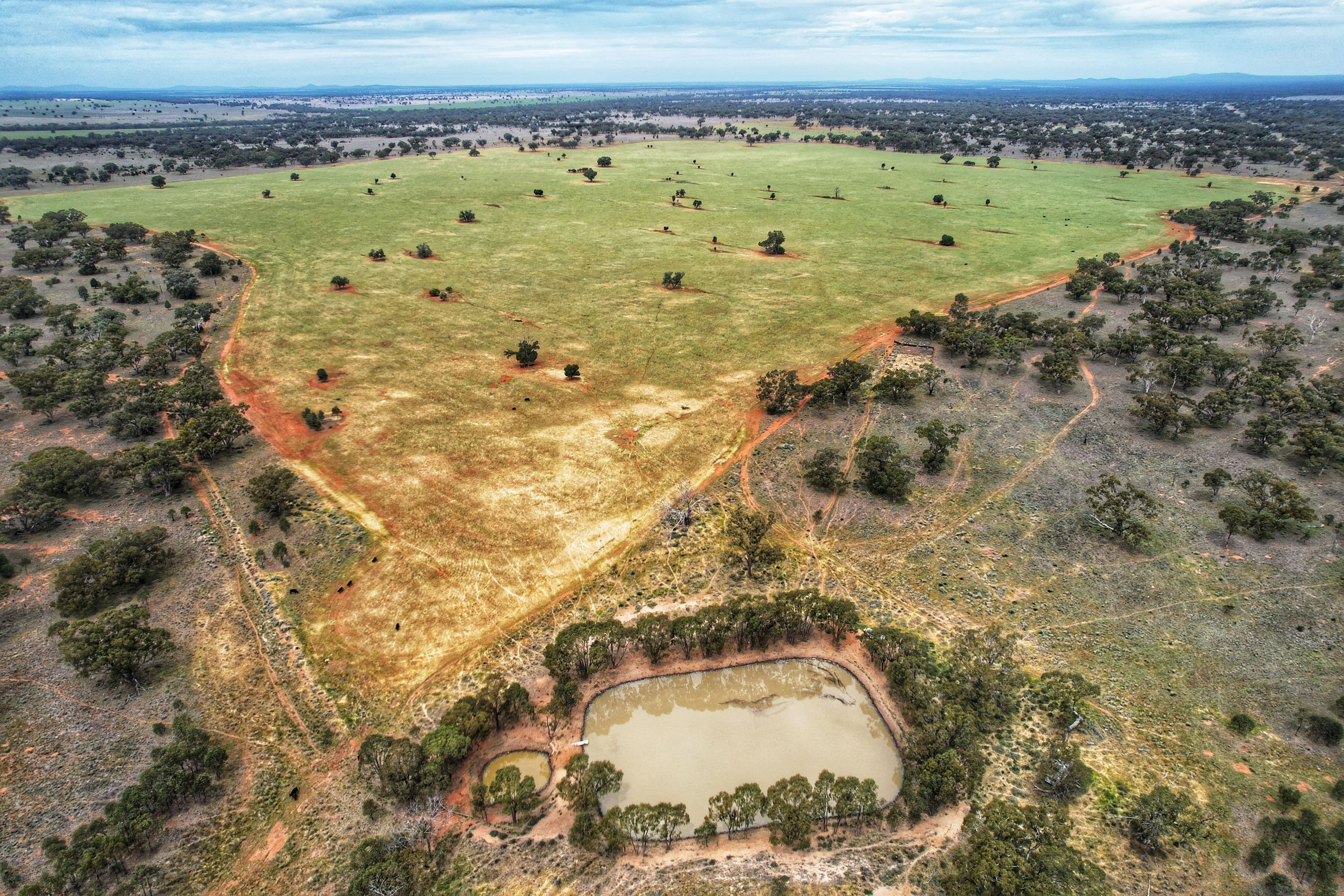 'Napunyah' 1224 Eremeran Road , Condobolin NSW 2877, Condobolin - Thumbnail 7