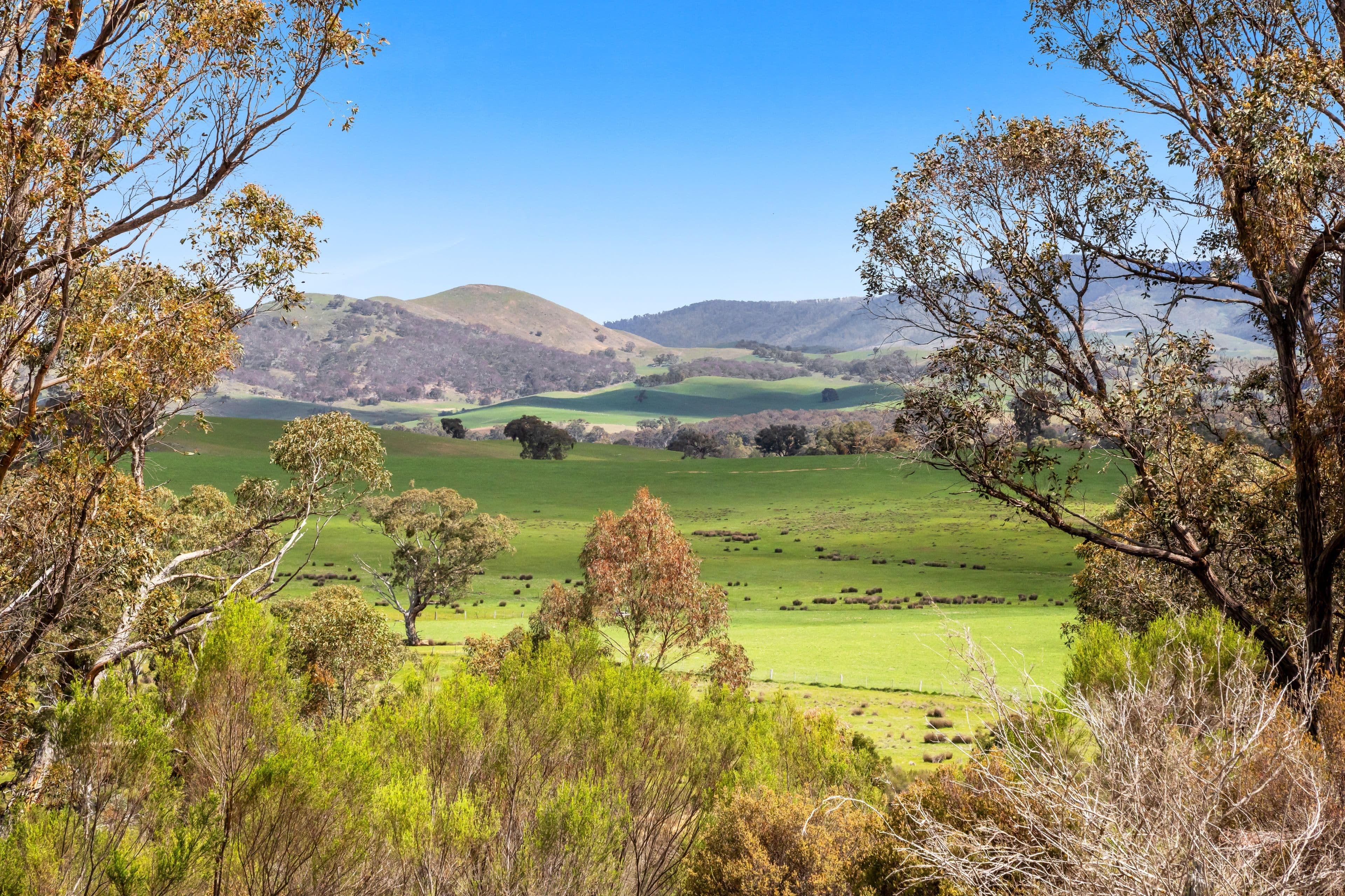 Rifle Range Road, Amphitheatre - Thumbnail 3