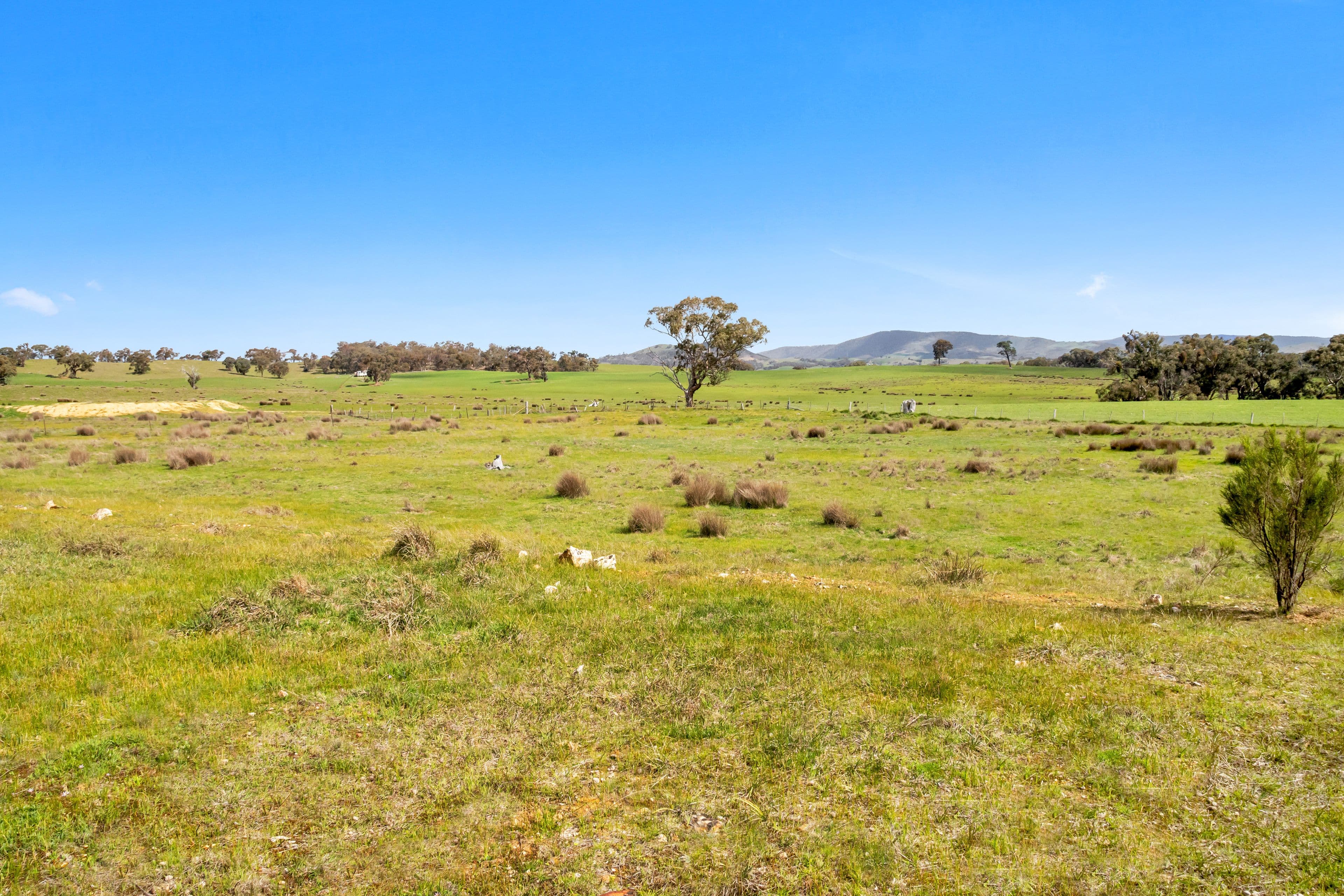 Rifle Range Road, Amphitheatre - Thumbnail 6
