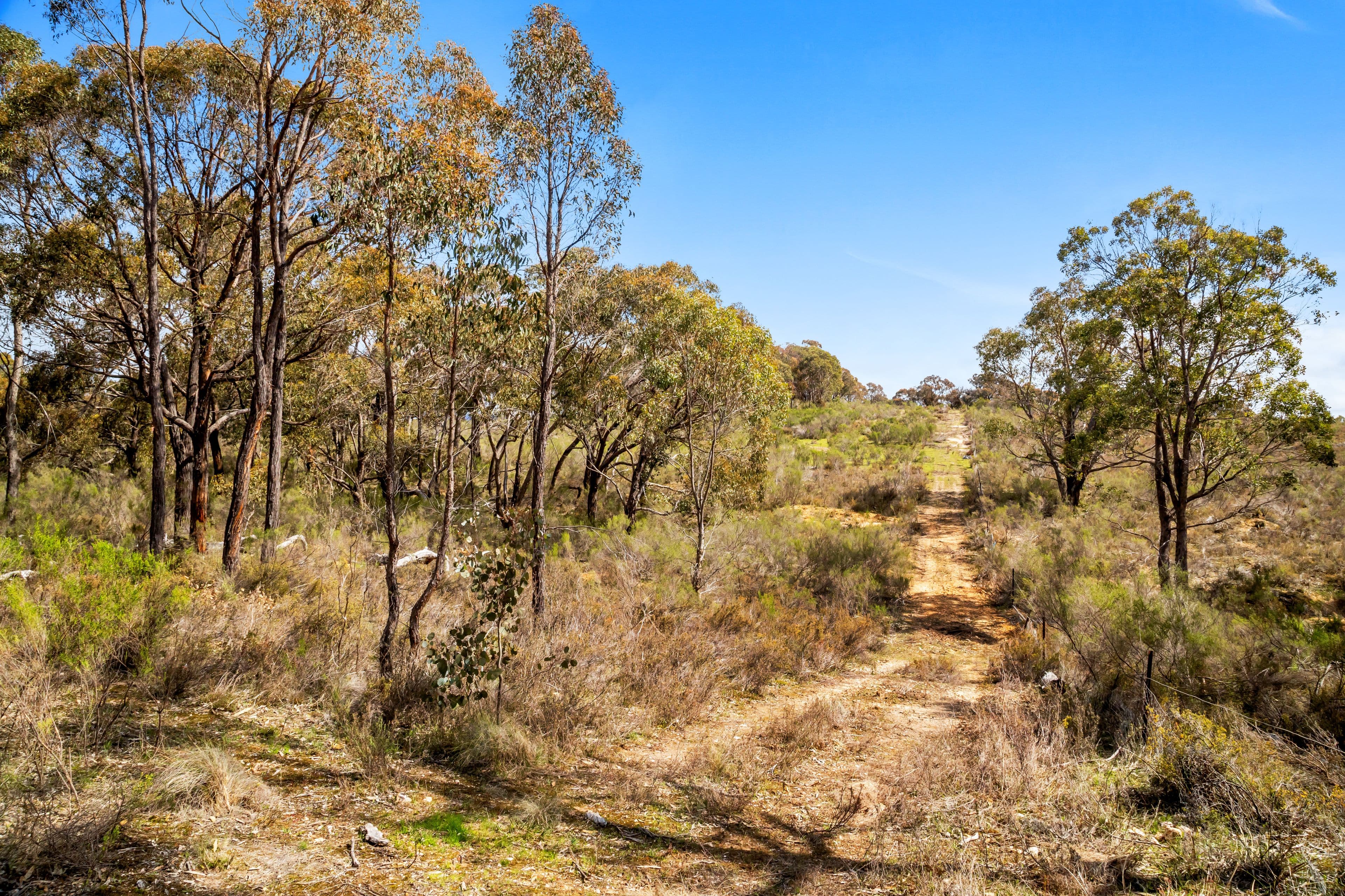 Rifle Range Road, Amphitheatre - Thumbnail 7