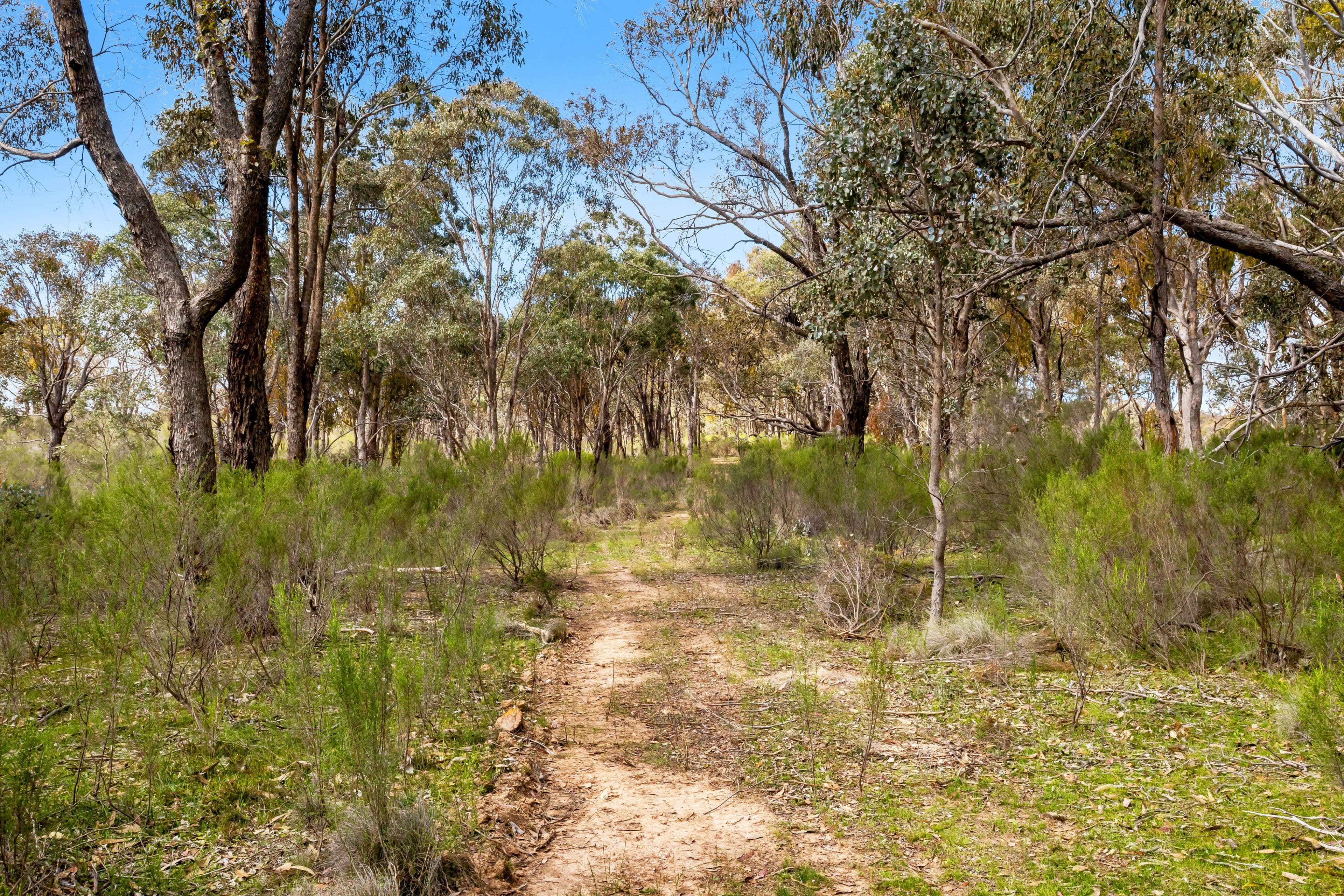 Rifle Range Road, Amphitheatre - Thumbnail 8