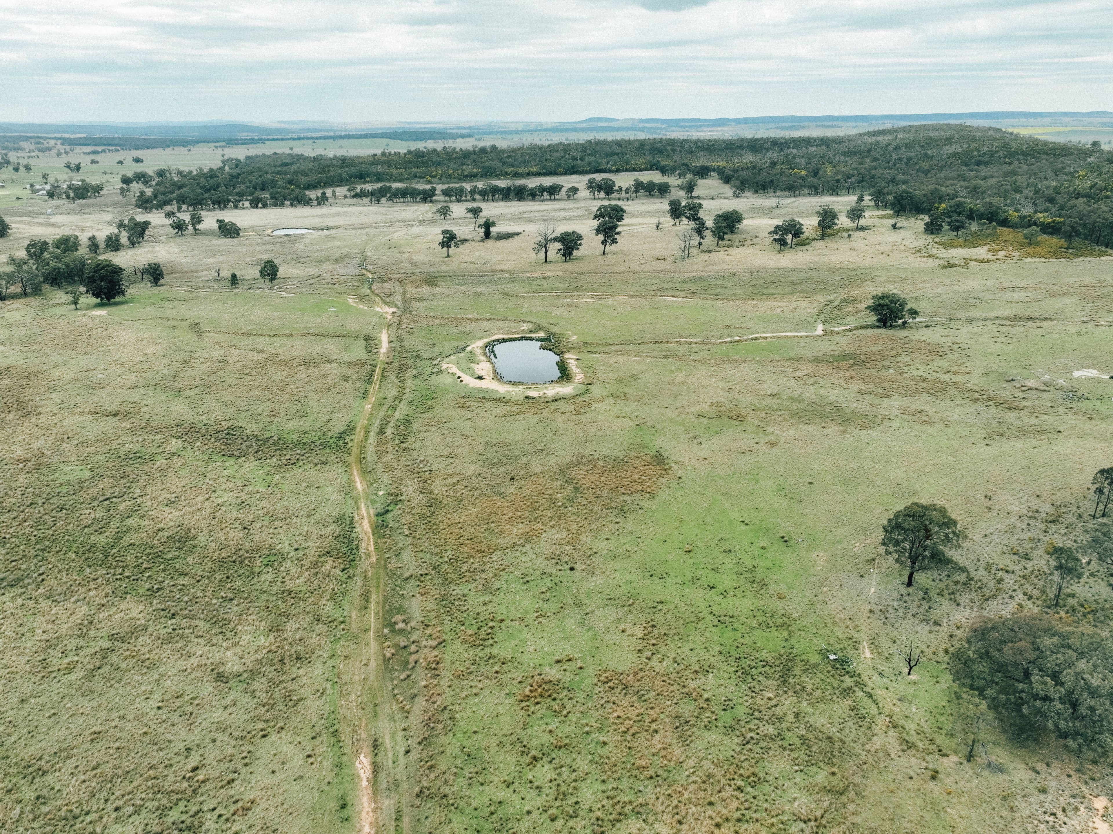 13999 Golden Highway , Dunedoo NSW 2844, Dunedoo - Image 1