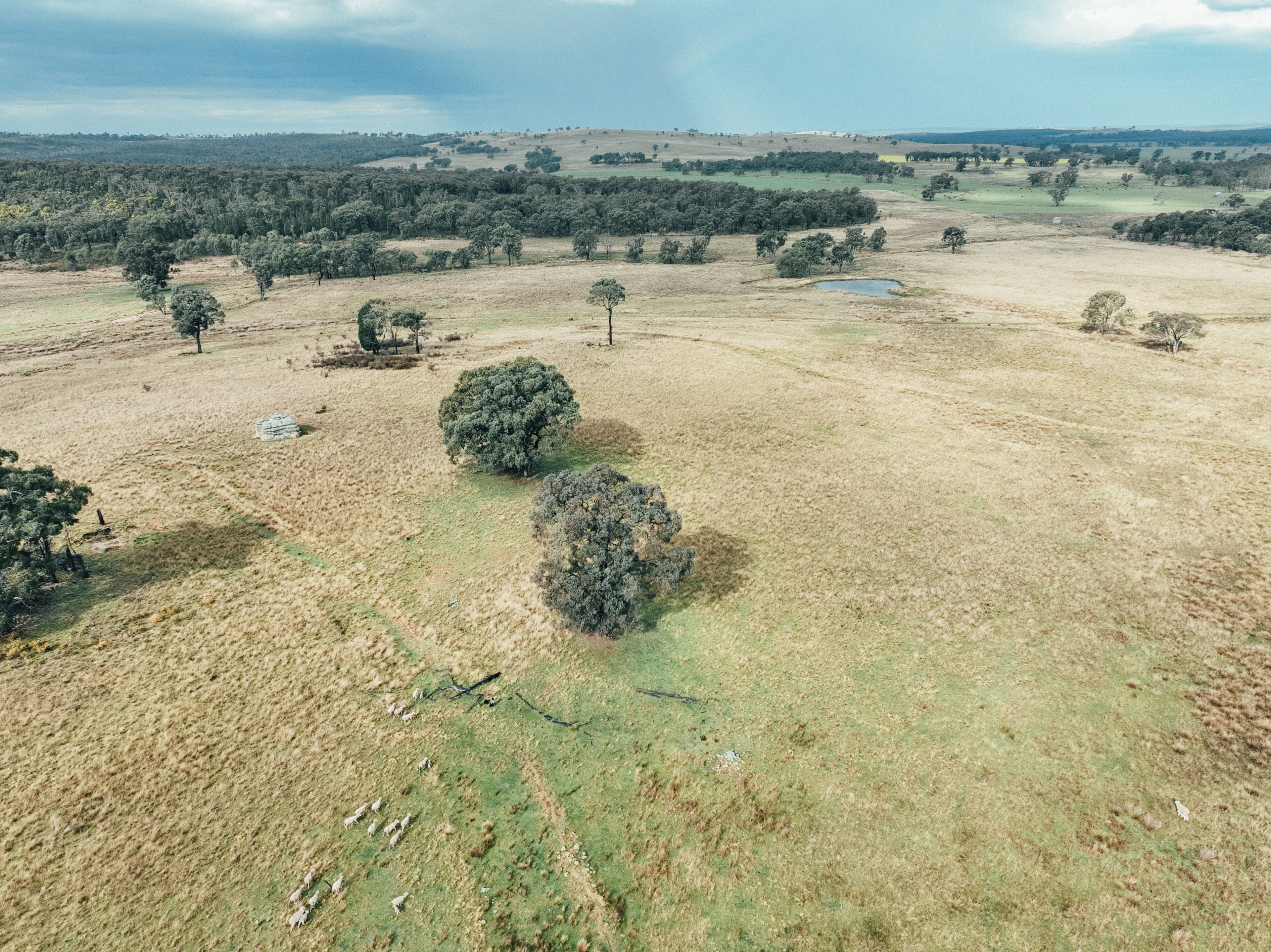13999 Golden Highway , Dunedoo NSW 2844, Dunedoo - Thumbnail 2
