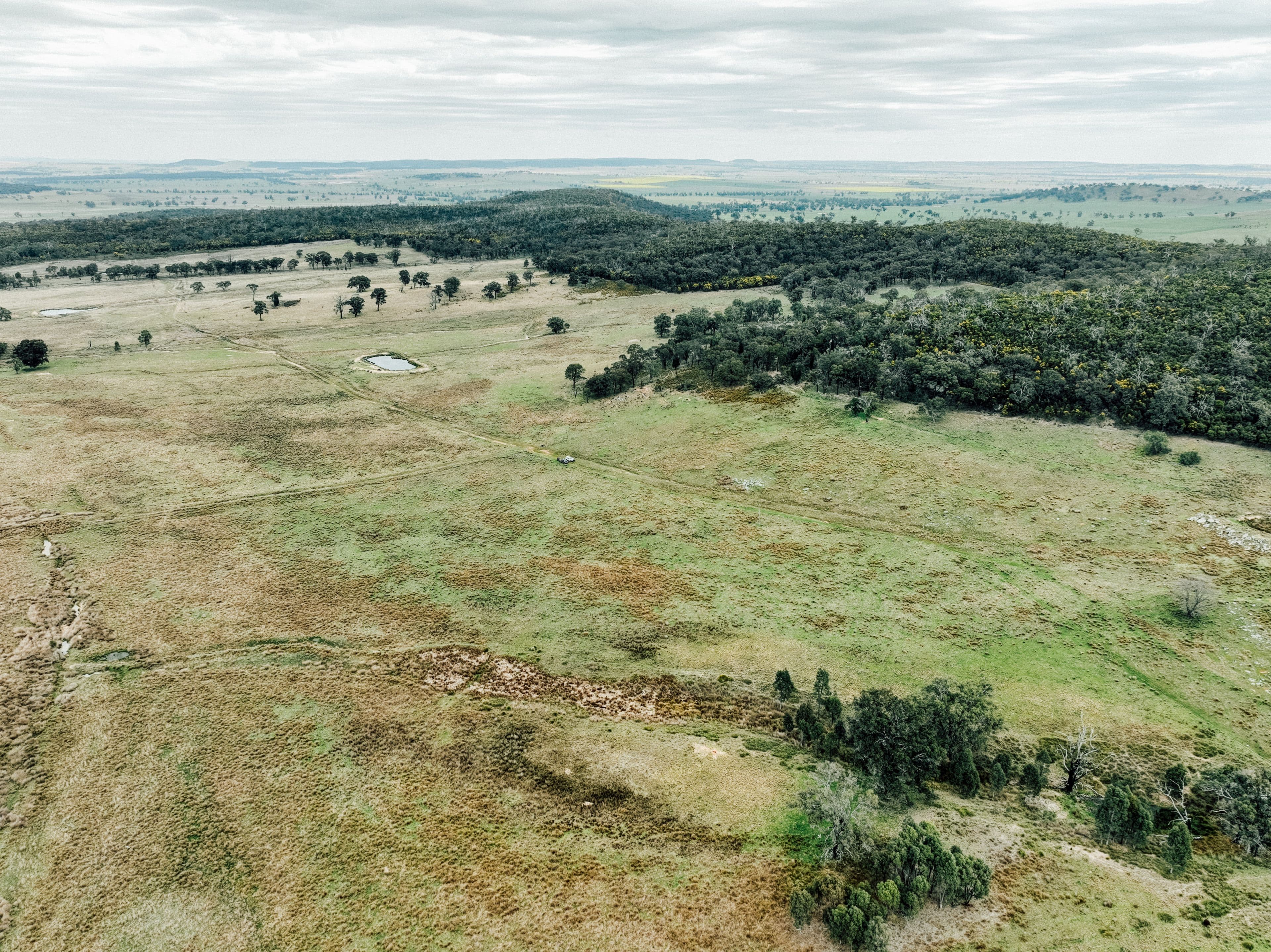 13999 Golden Highway , Dunedoo NSW 2844, Dunedoo - Thumbnail 8