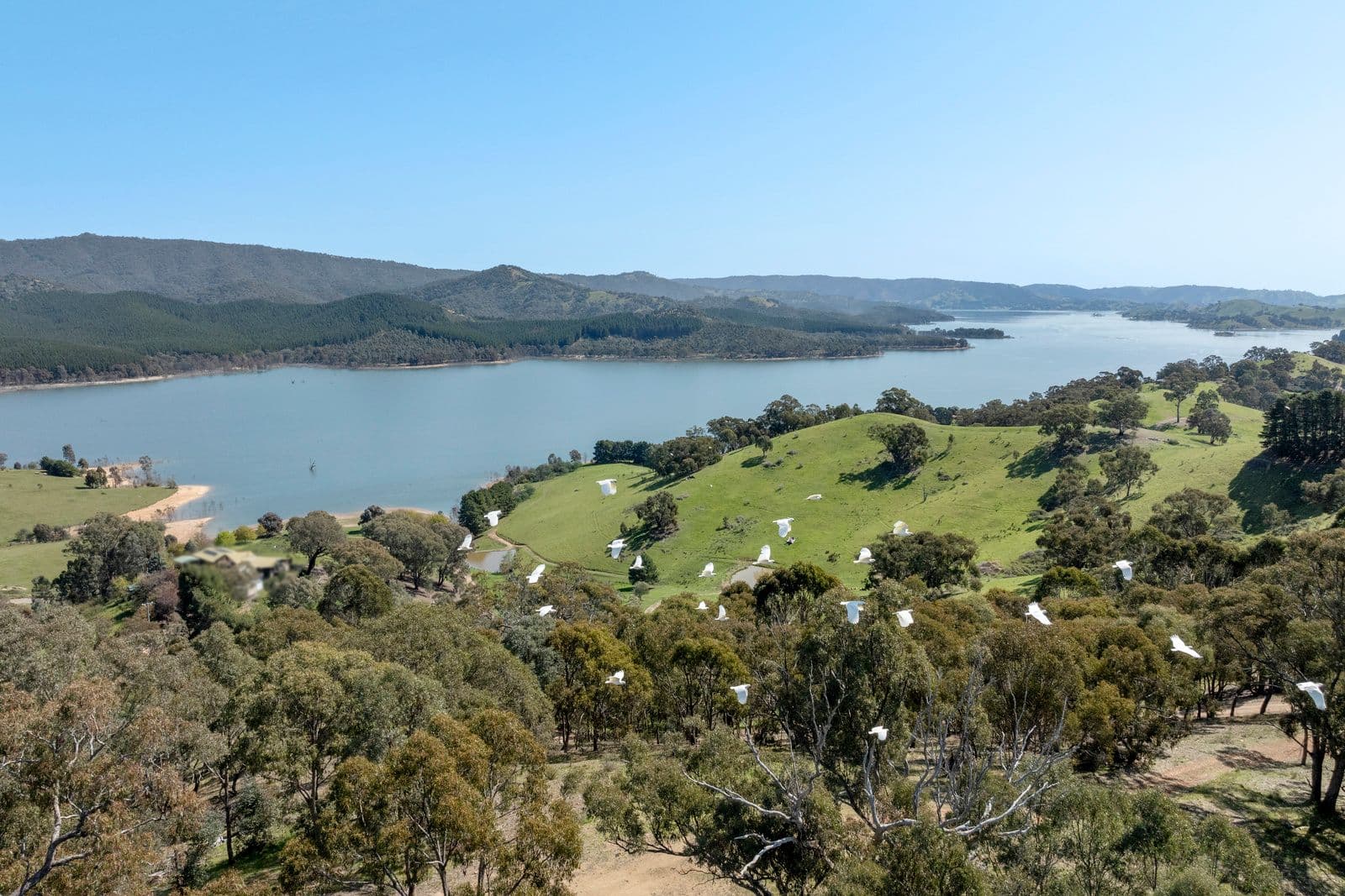 103 Glencoe Ridge , Howes Creek VIC 3723, Howes Creek - Thumbnail 4