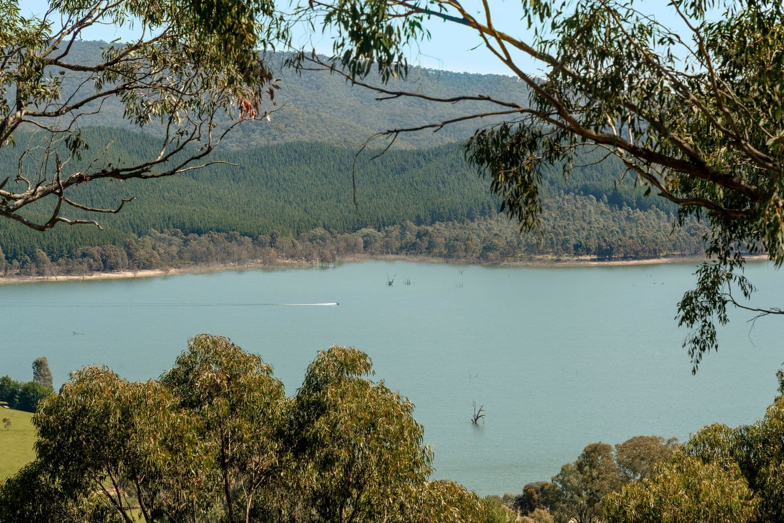 103 Glencoe Ridge , Howes Creek VIC 3723, Howes Creek - Thumbnail 5