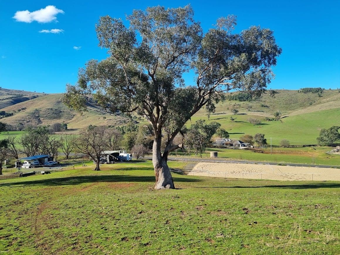 Lot 128 Burra Road , Gundagai NSW 2722, Gundagai - Thumbnail 5
