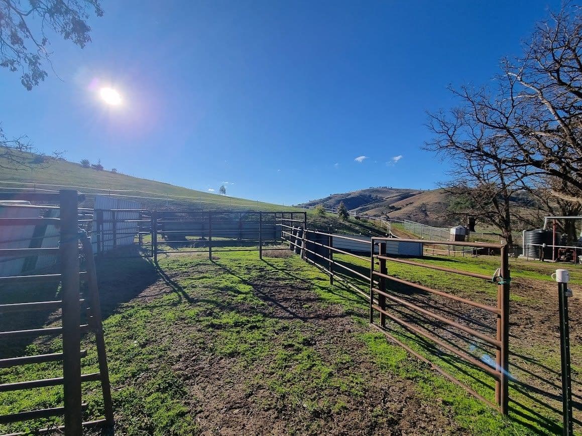 Lot 128 Burra Road , Gundagai NSW 2722, Gundagai - Thumbnail 6