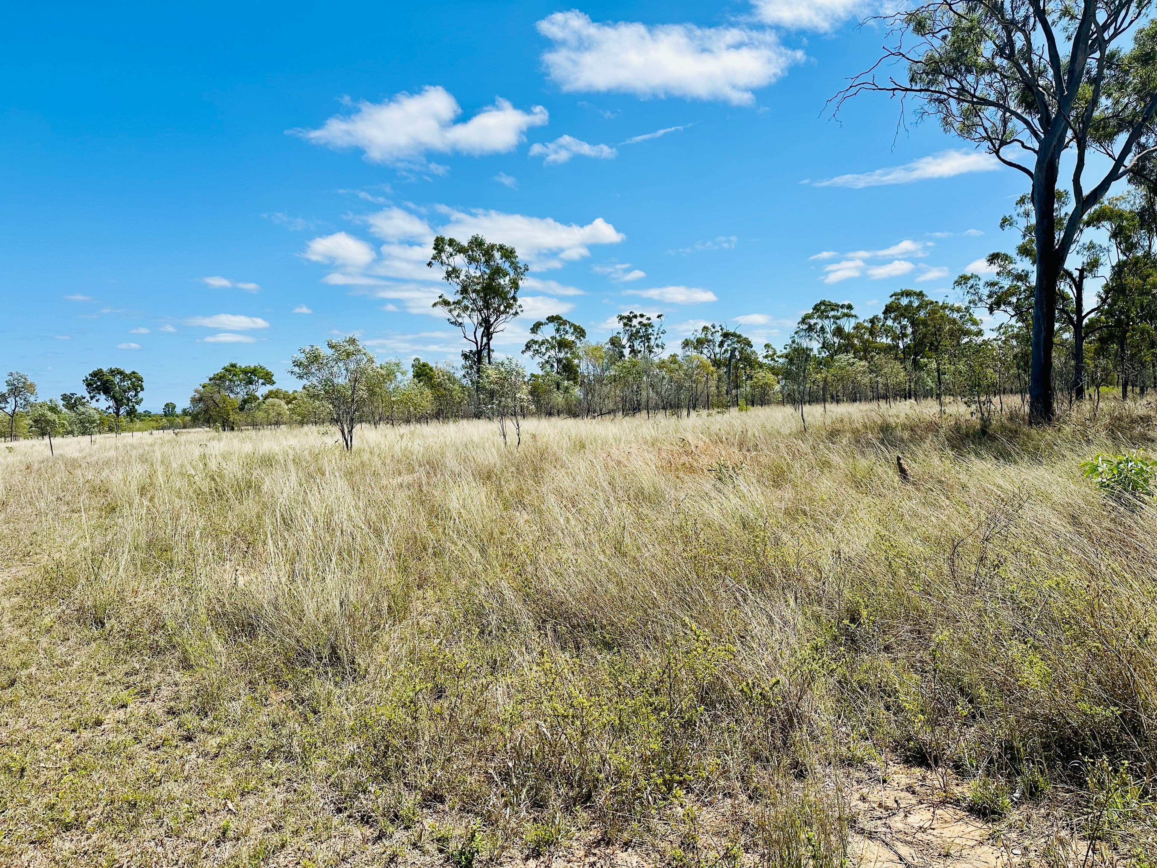 , Charters Towers QLD 4820, Charters Towers City - Image 1