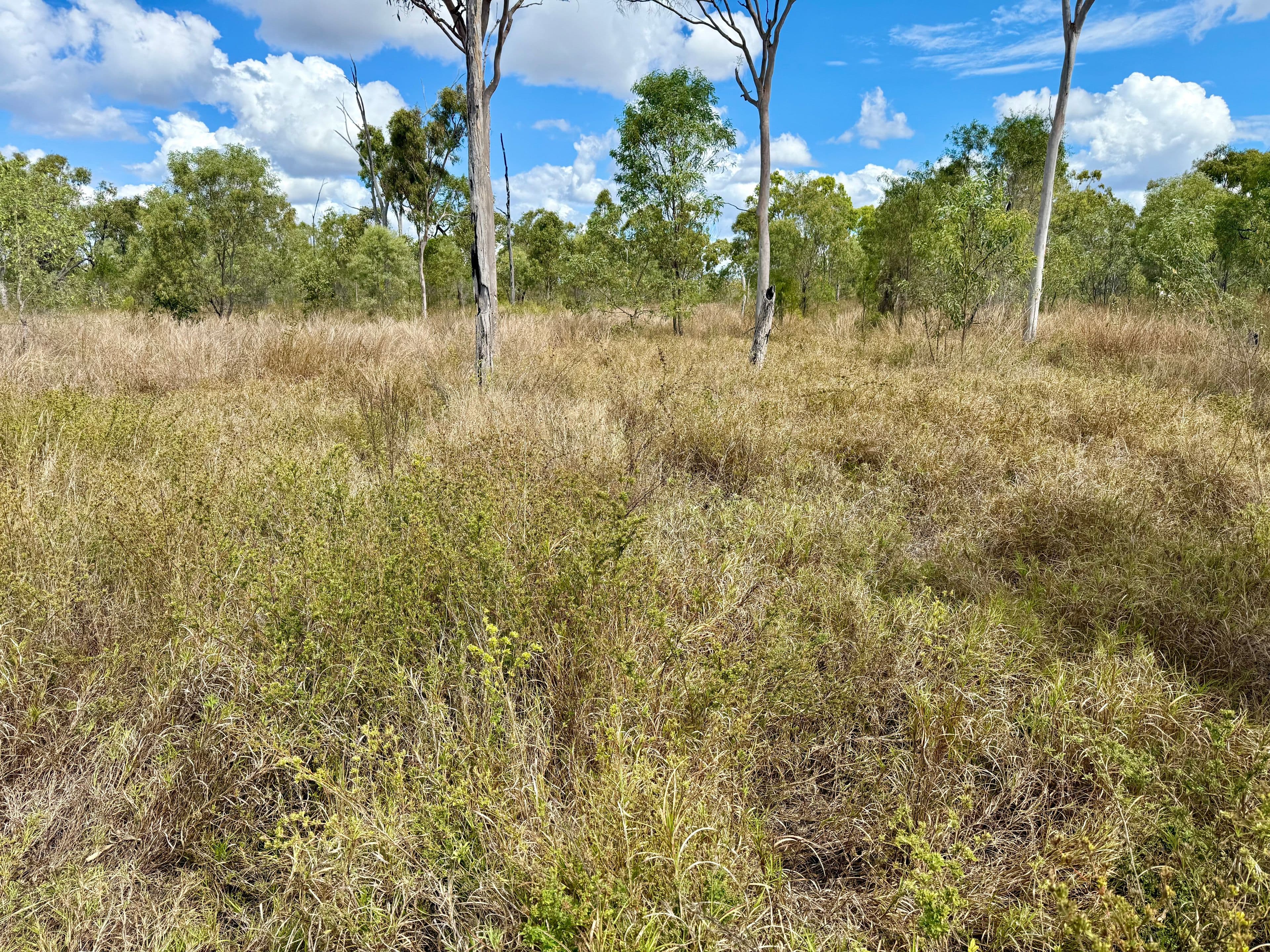 , Charters Towers QLD 4820, Charters Towers City - Thumbnail 4