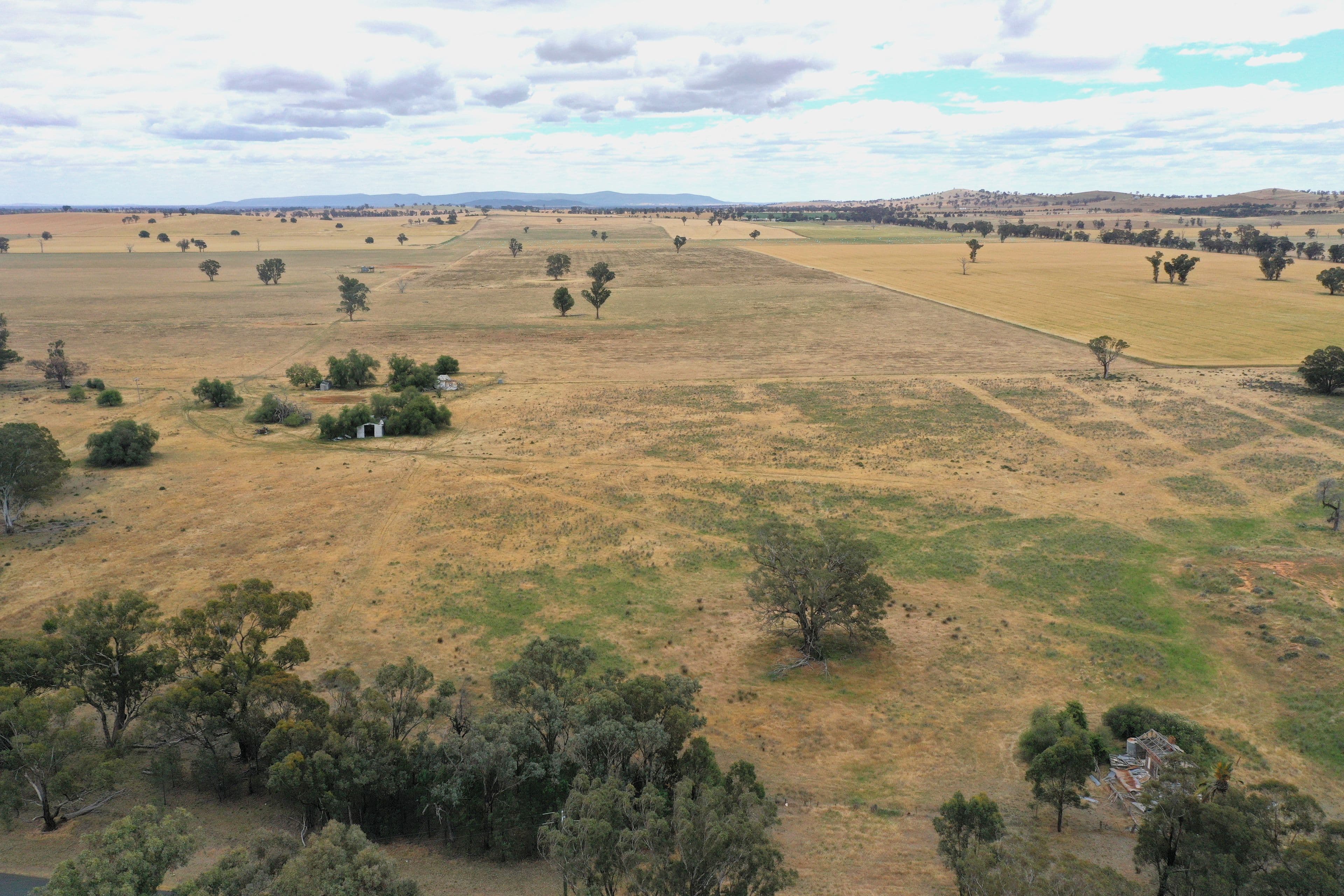 1674 Tubbul Road, Tubbul Via , Young NSW 2594, Young - Image 1