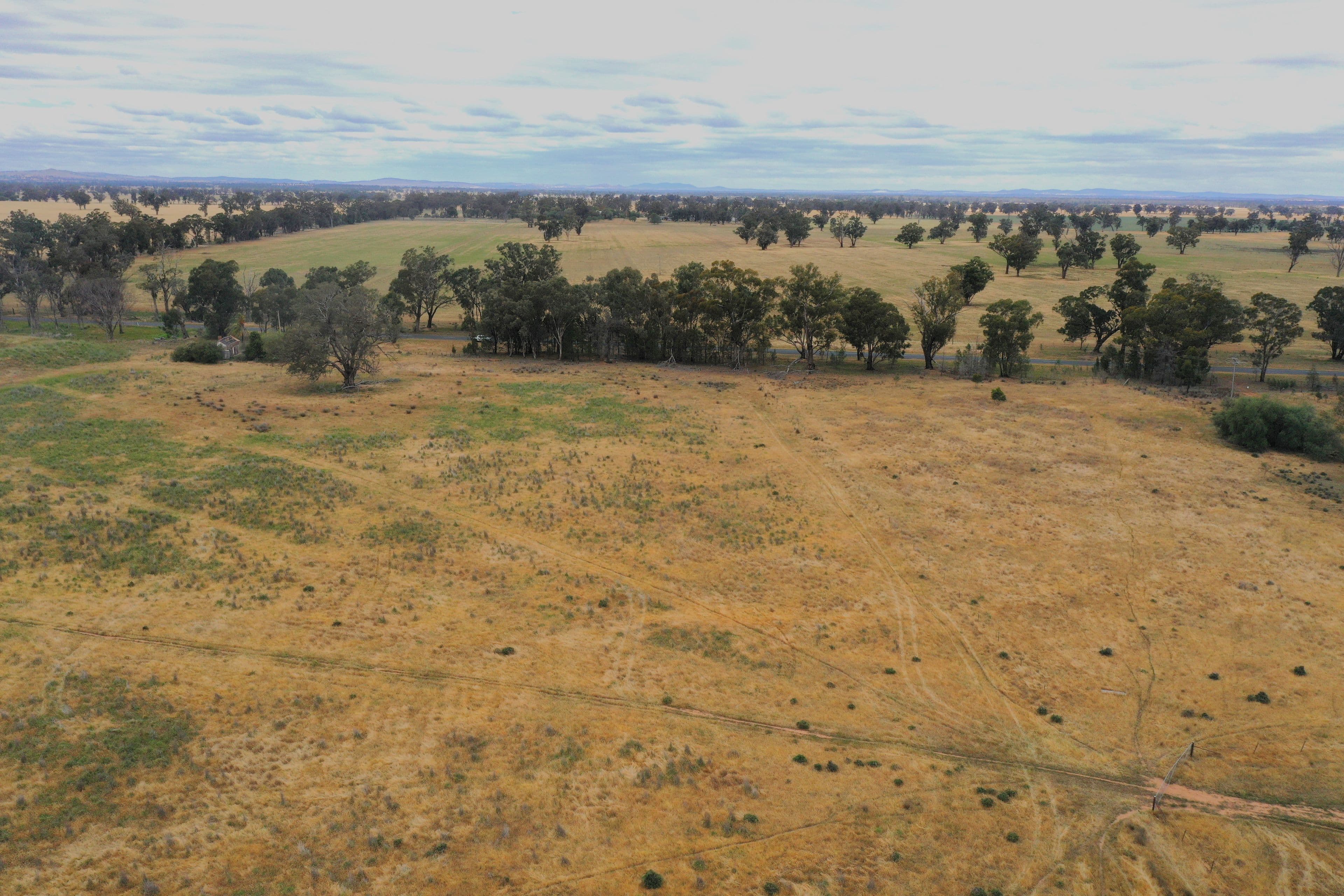 1674 Tubbul Road, Tubbul Via , Young NSW 2594, Young - Thumbnail 3