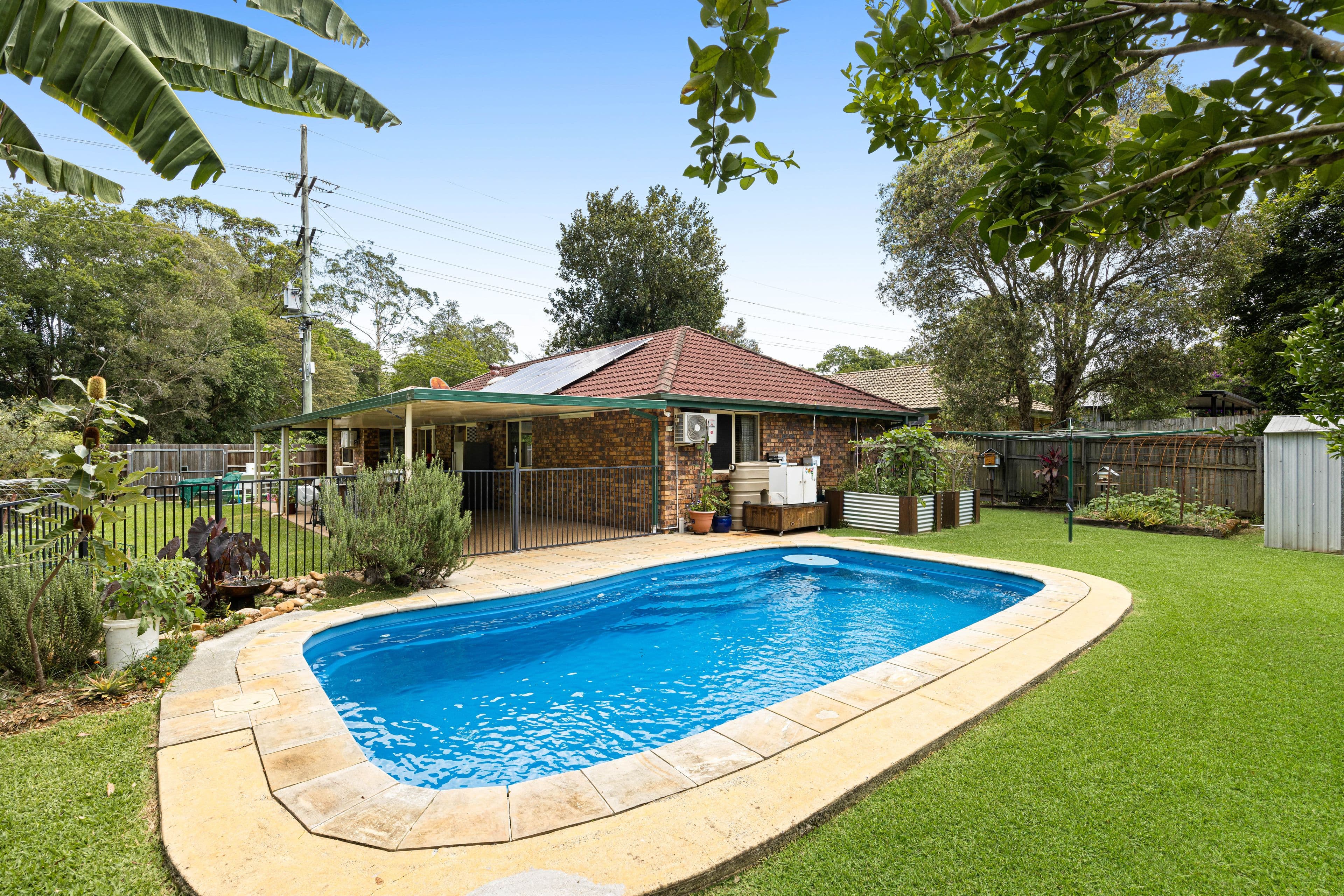 66 Dunning Street , Palmwoods QLD 4555, Palmwoods - Image 1