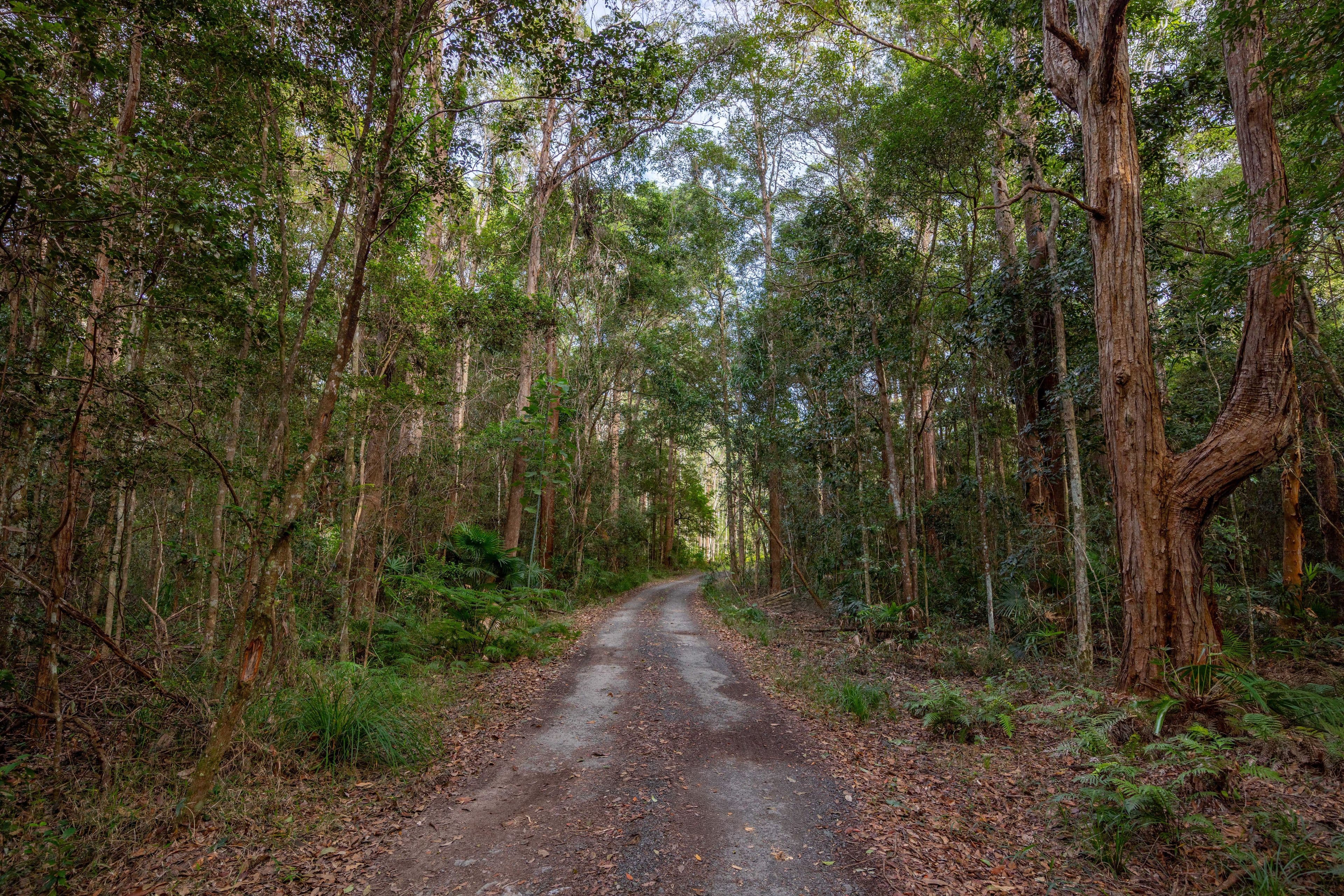 489 Old Caloundra Road , Glenview QLD 4553, Glenview - Thumbnail 2