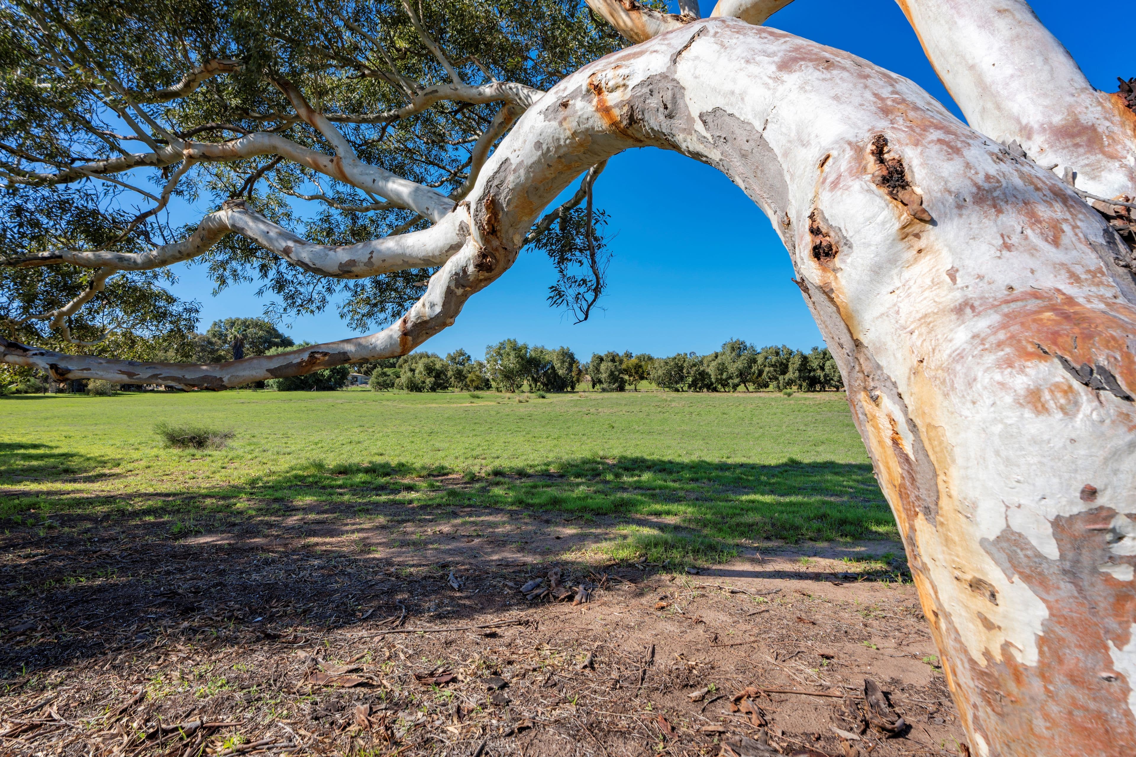 1038C Chapman Road , Glenfield WA 6532, Glenfield - Thumbnail 2