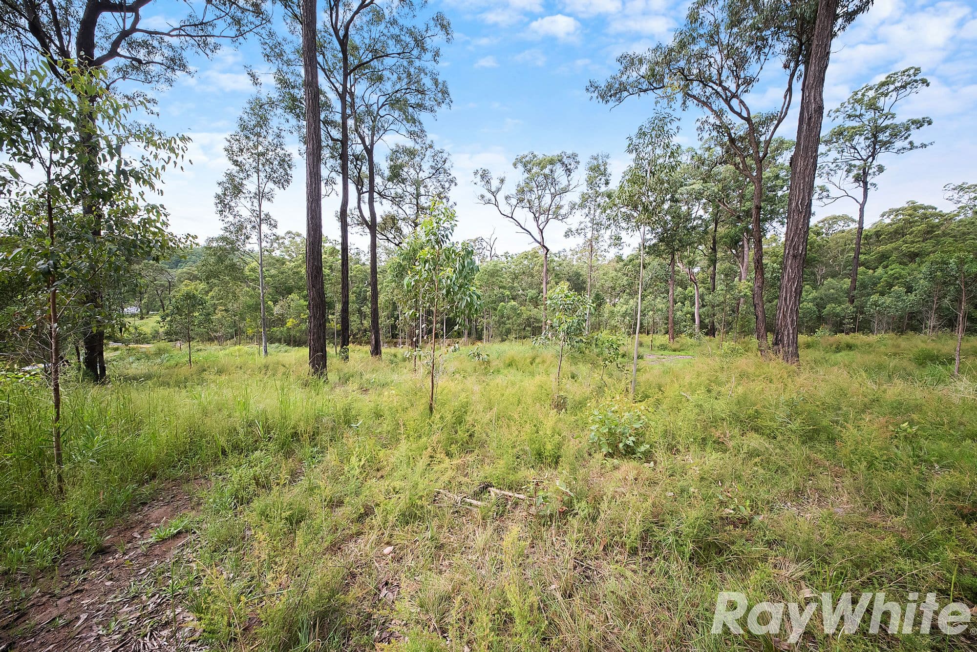 Lot 73 Lillipilli Close , Booral NSW 2425, Booral - Thumbnail 7