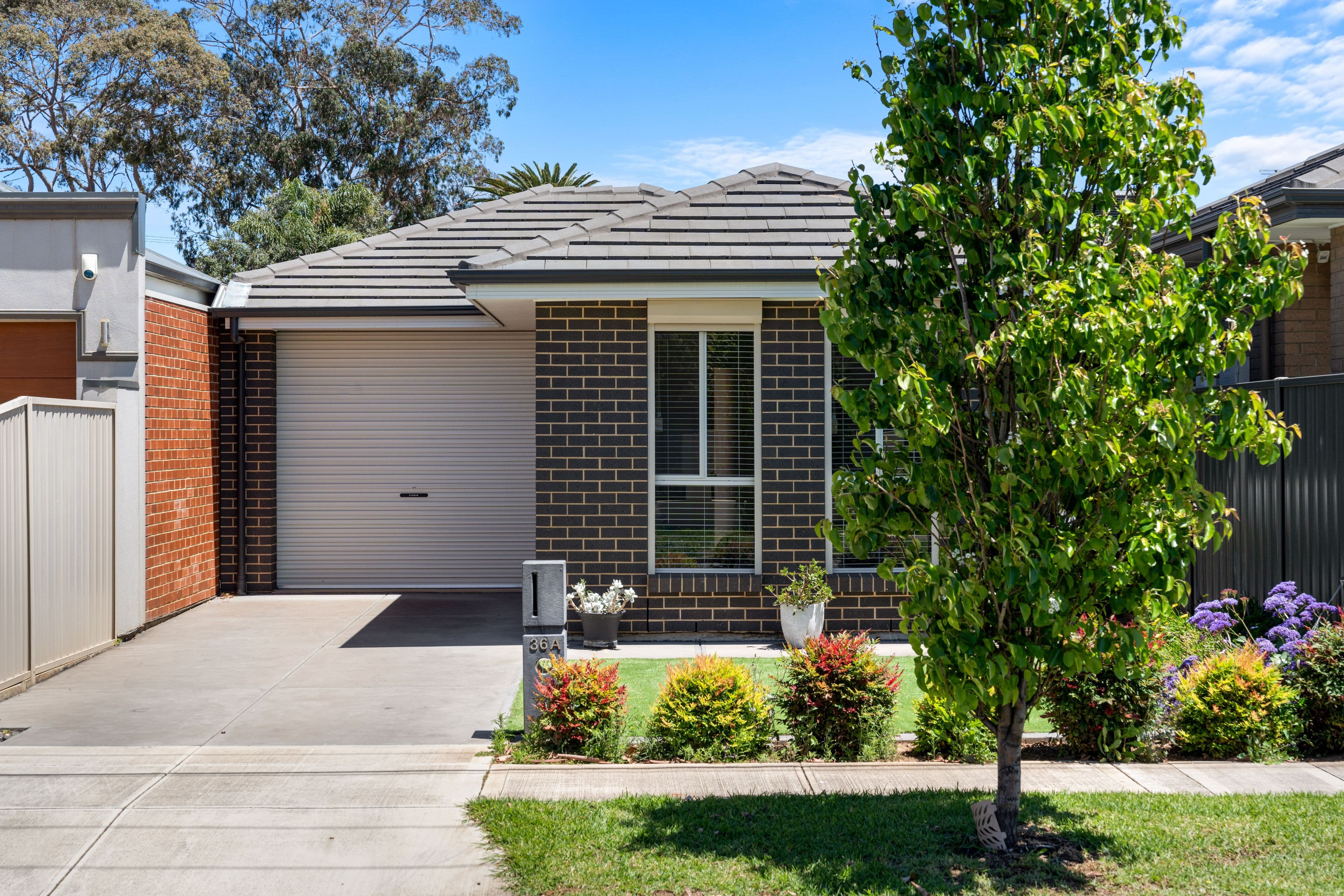 36A John Street , Flinders Park SA 5025, Flinders Park - Image 1