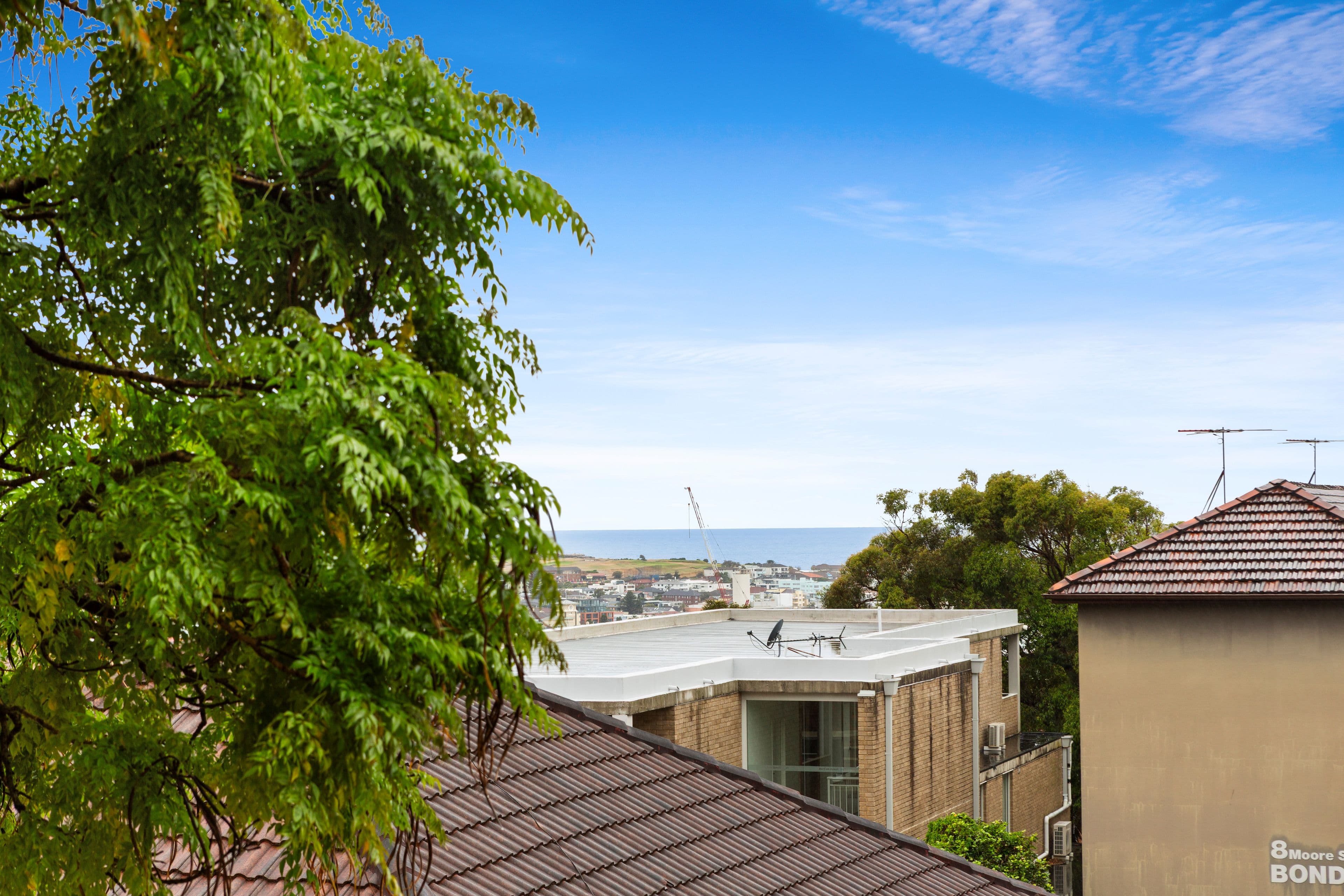 15 Wellington Street, Bondi - Thumbnail 2