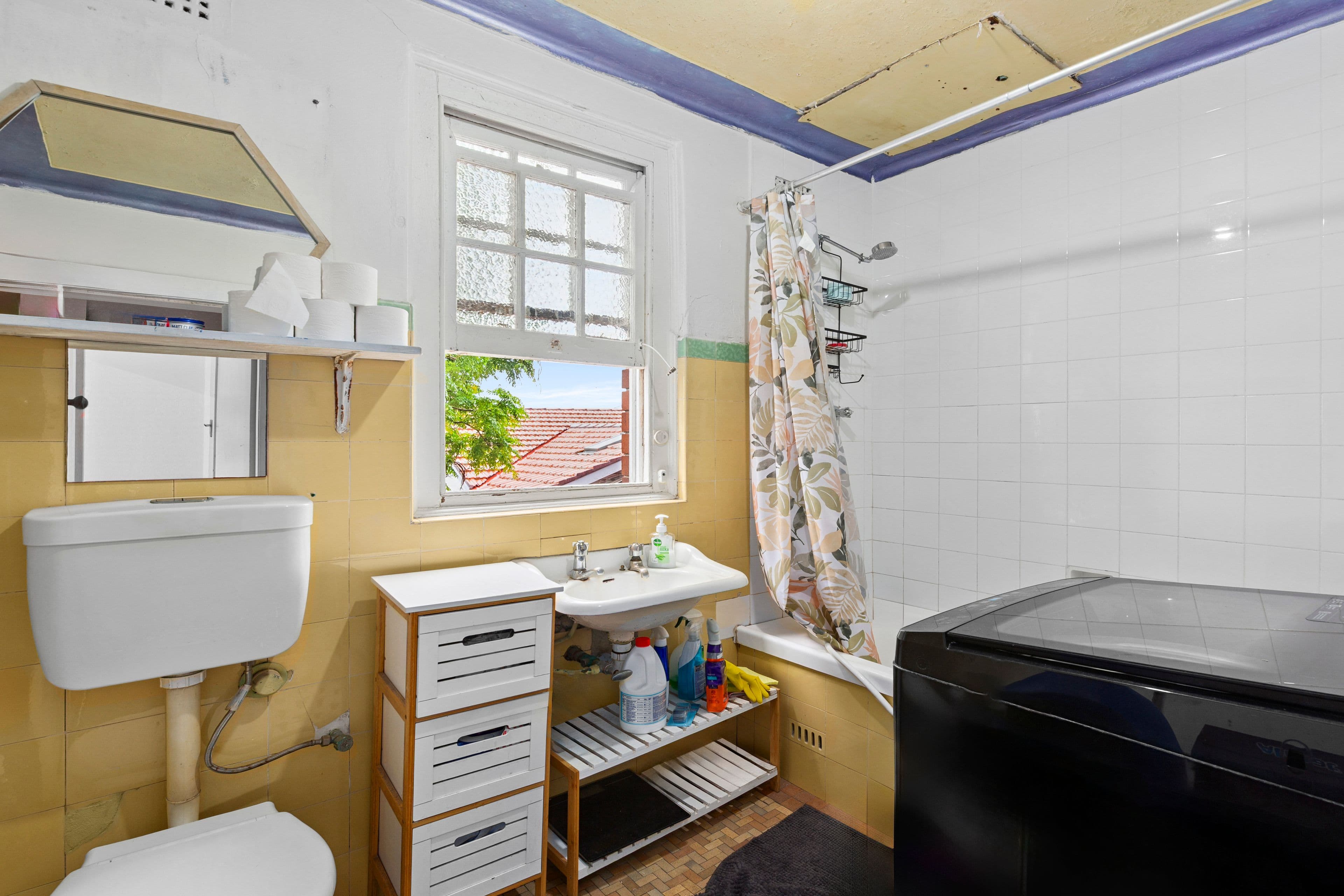 15 Wellington Street, Bondi - Thumbnail 6