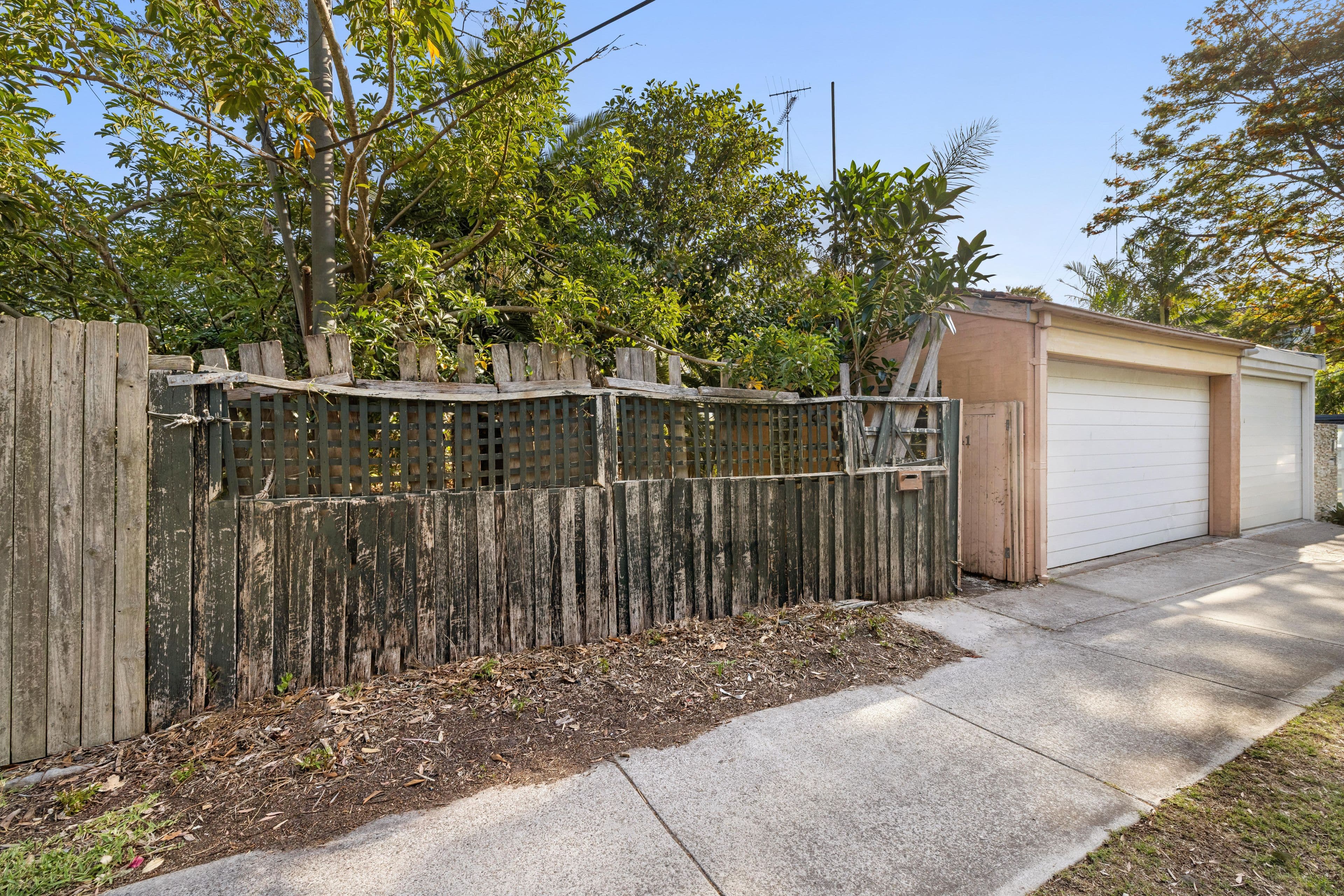 41 Palmerston Avenue , Bronte NSW 2024, Bronte - Thumbnail 4