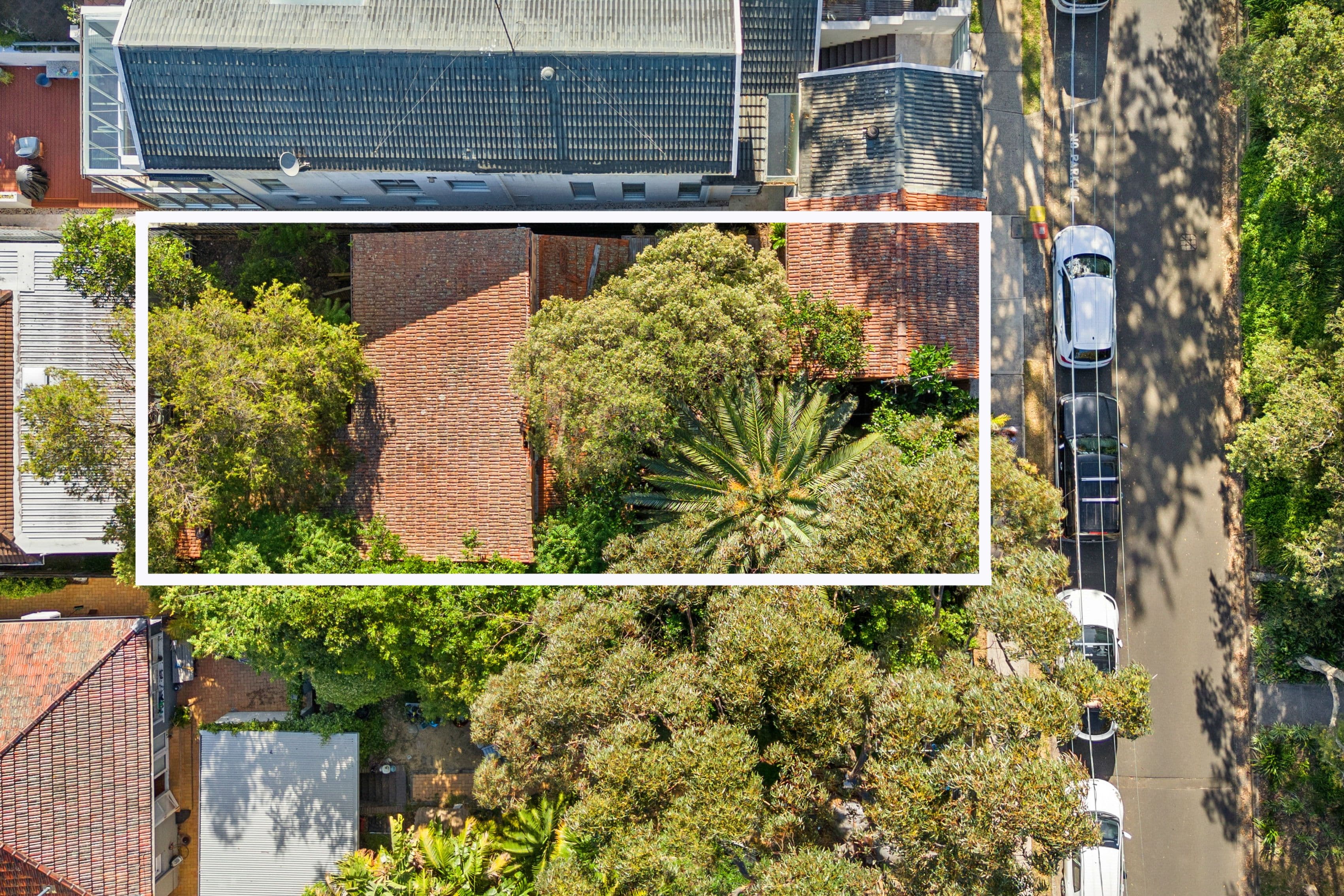 41 Palmerston Avenue , Bronte NSW 2024, Bronte - Thumbnail 7