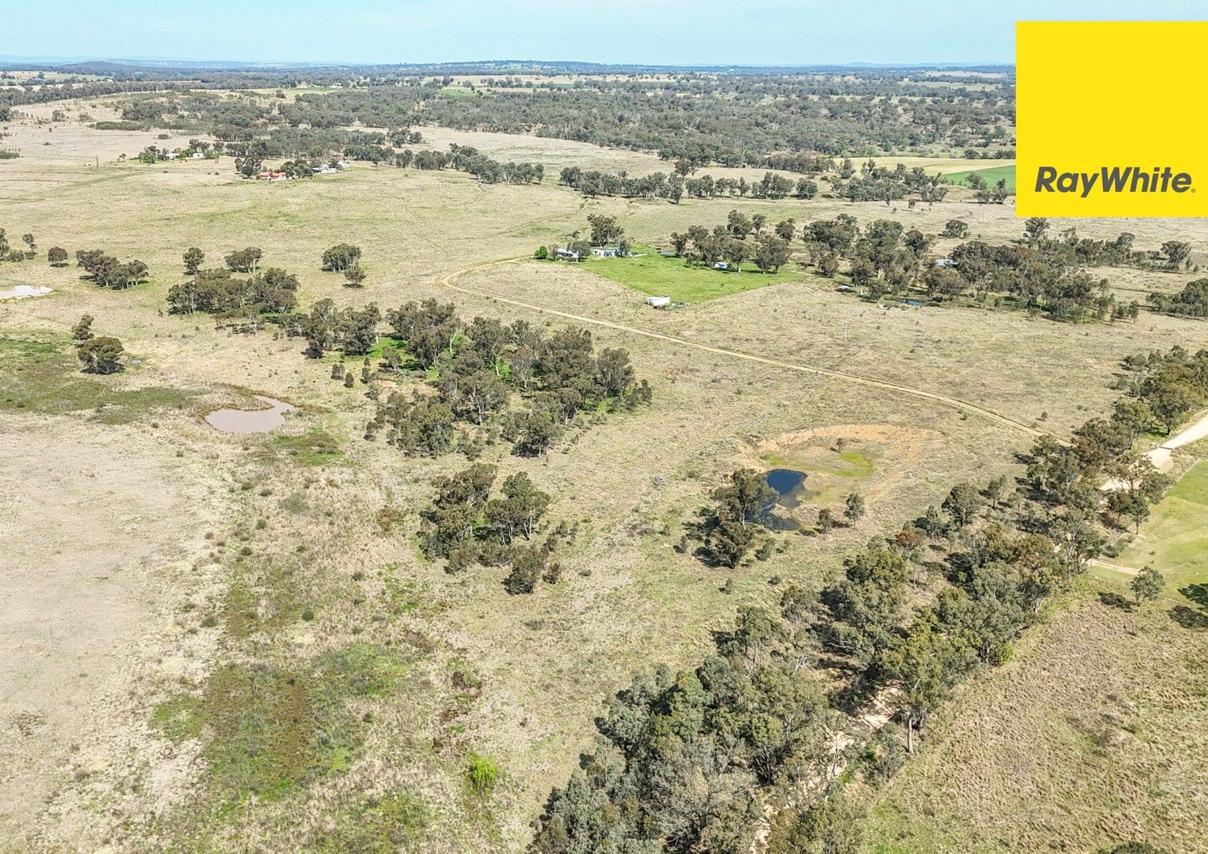 179 Dintonvale Road, Bukkulla , Inverell NSW 2360, Inverell - Thumbnail 2