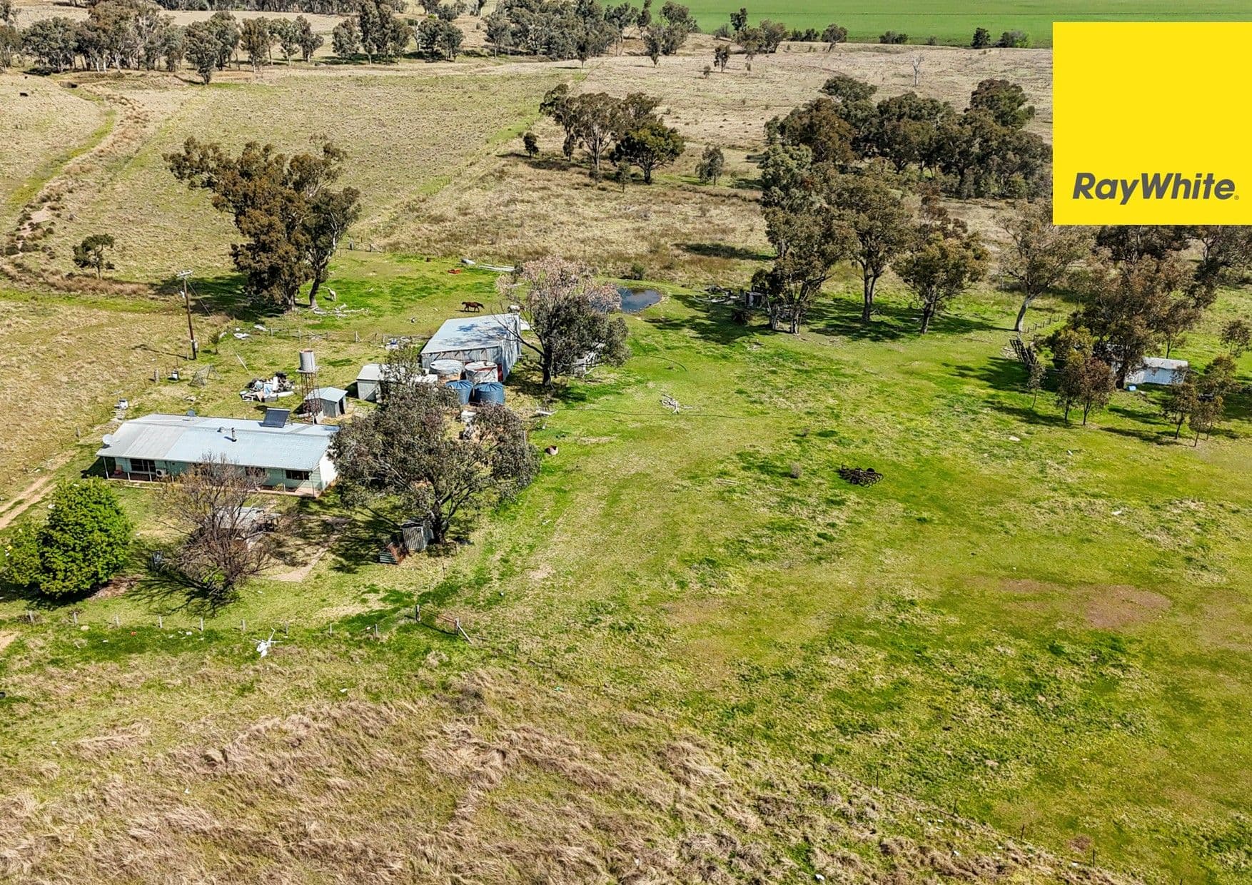 179 Dintonvale Road, Bukkulla , Inverell NSW 2360, Inverell - Thumbnail 3