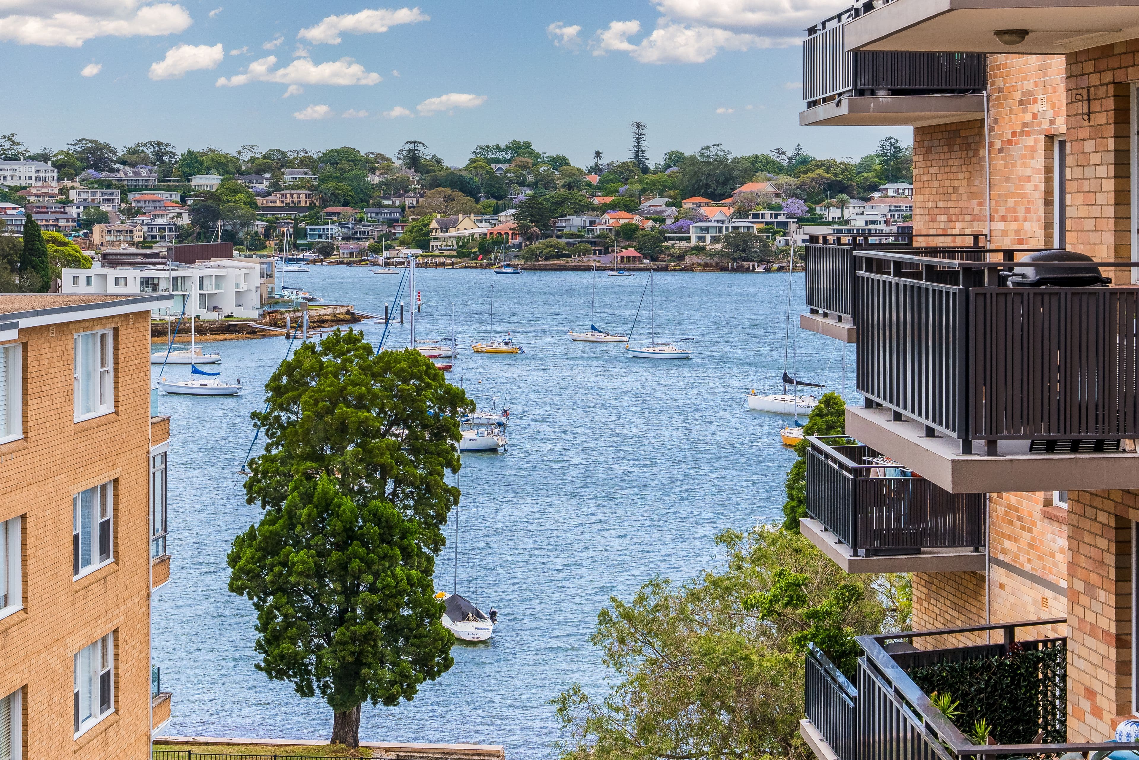 8 Wolseley Street , Drummoyne NSW 2047, Drummoyne - Thumbnail 2